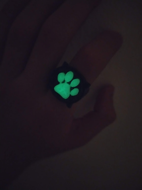 cat noir ring and box — miniatura 3