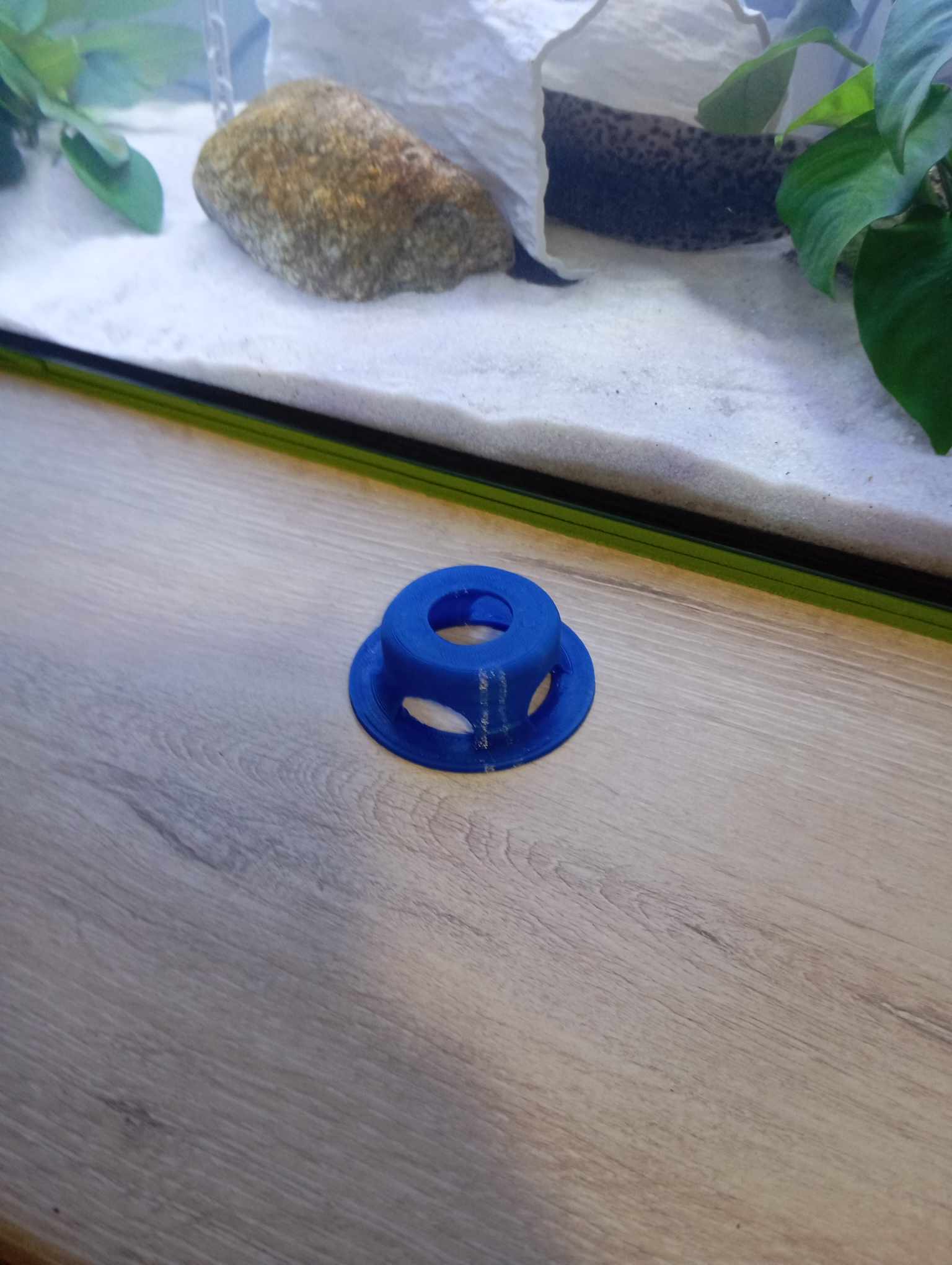 Plant holder