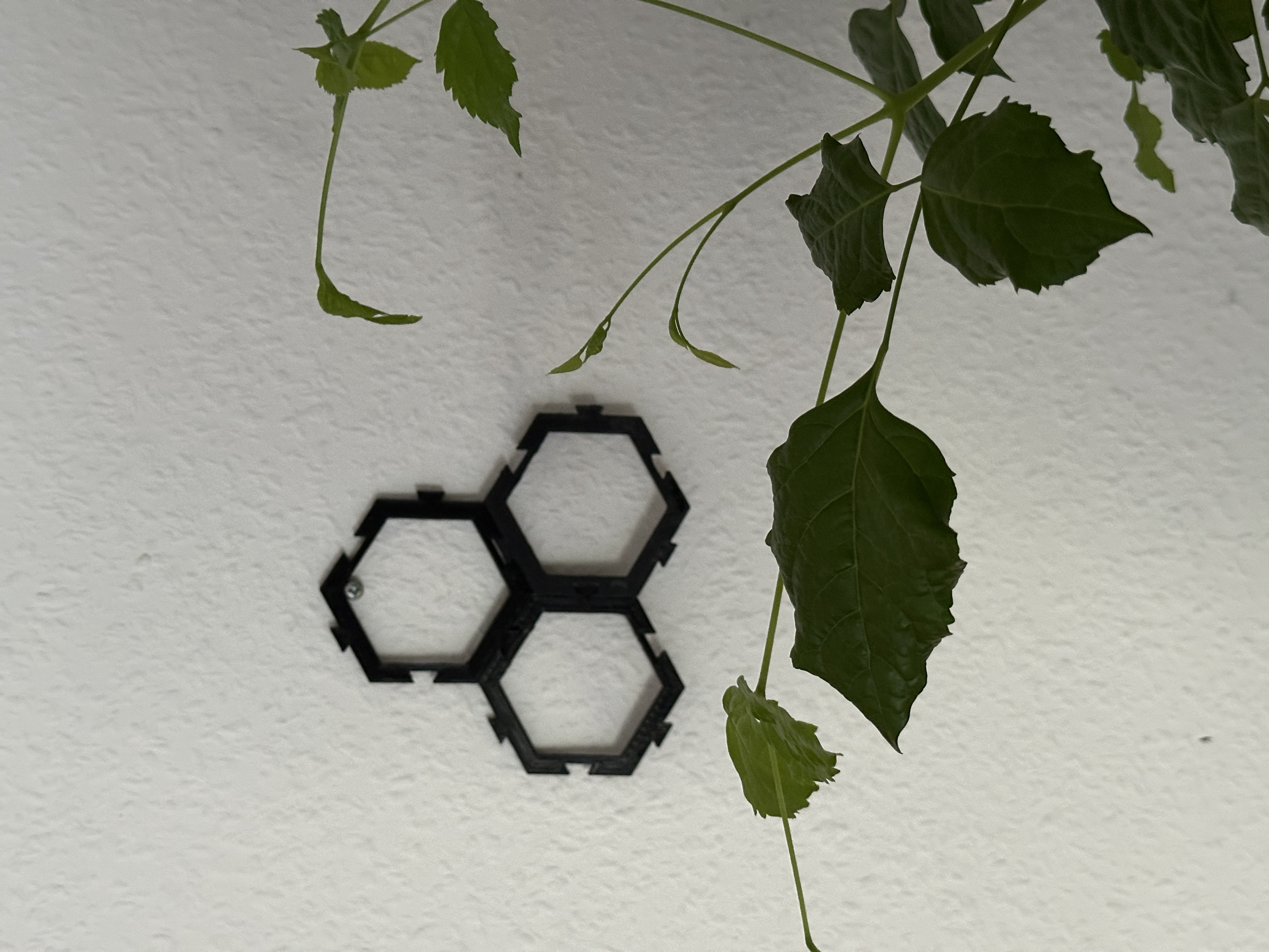 Hexagon