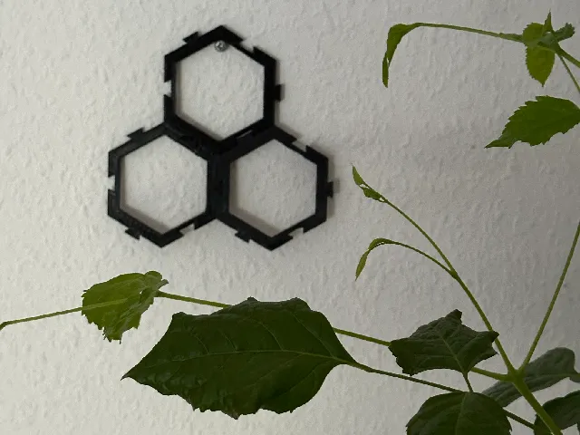 Hexagon
