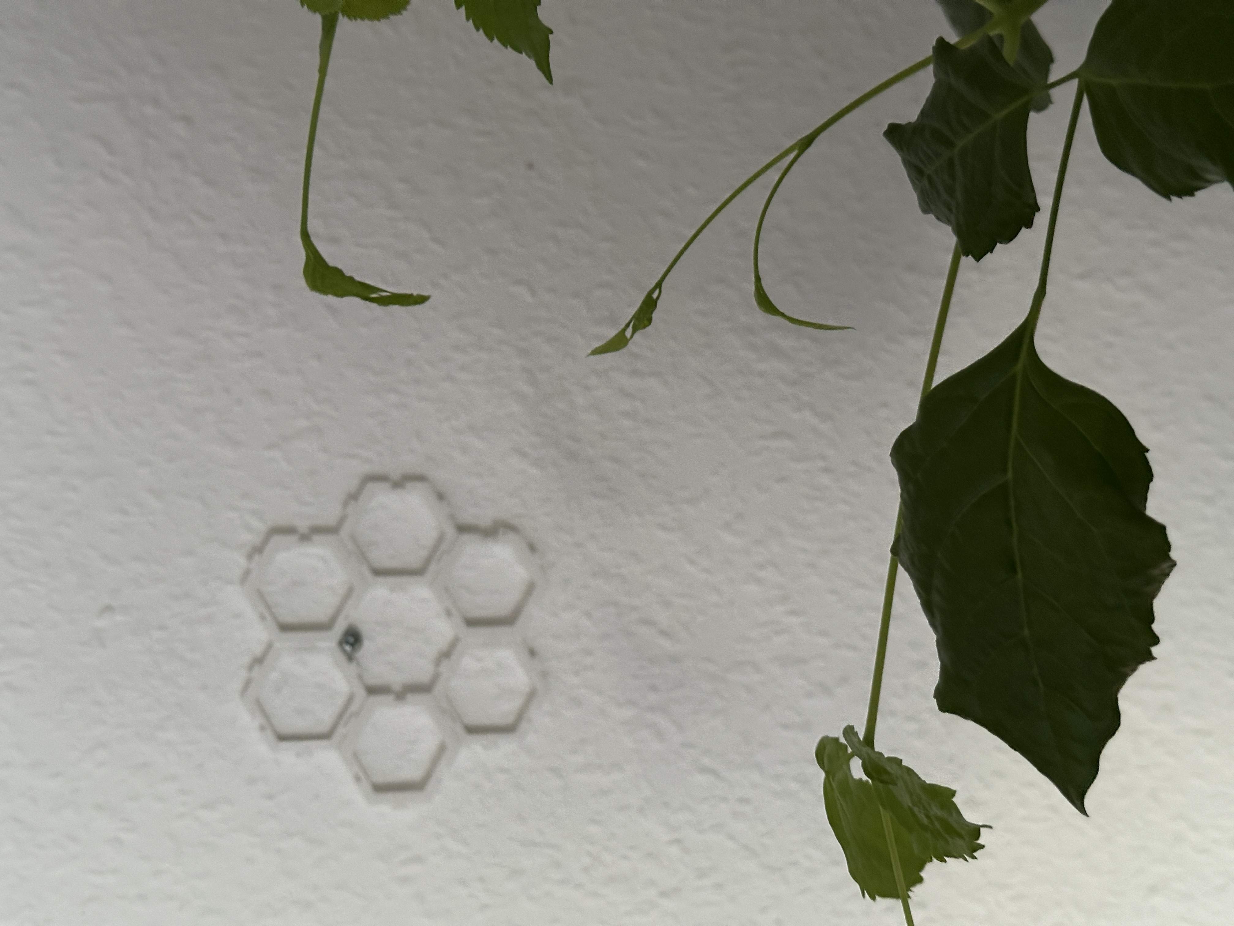 Hexagon — miniatura 3