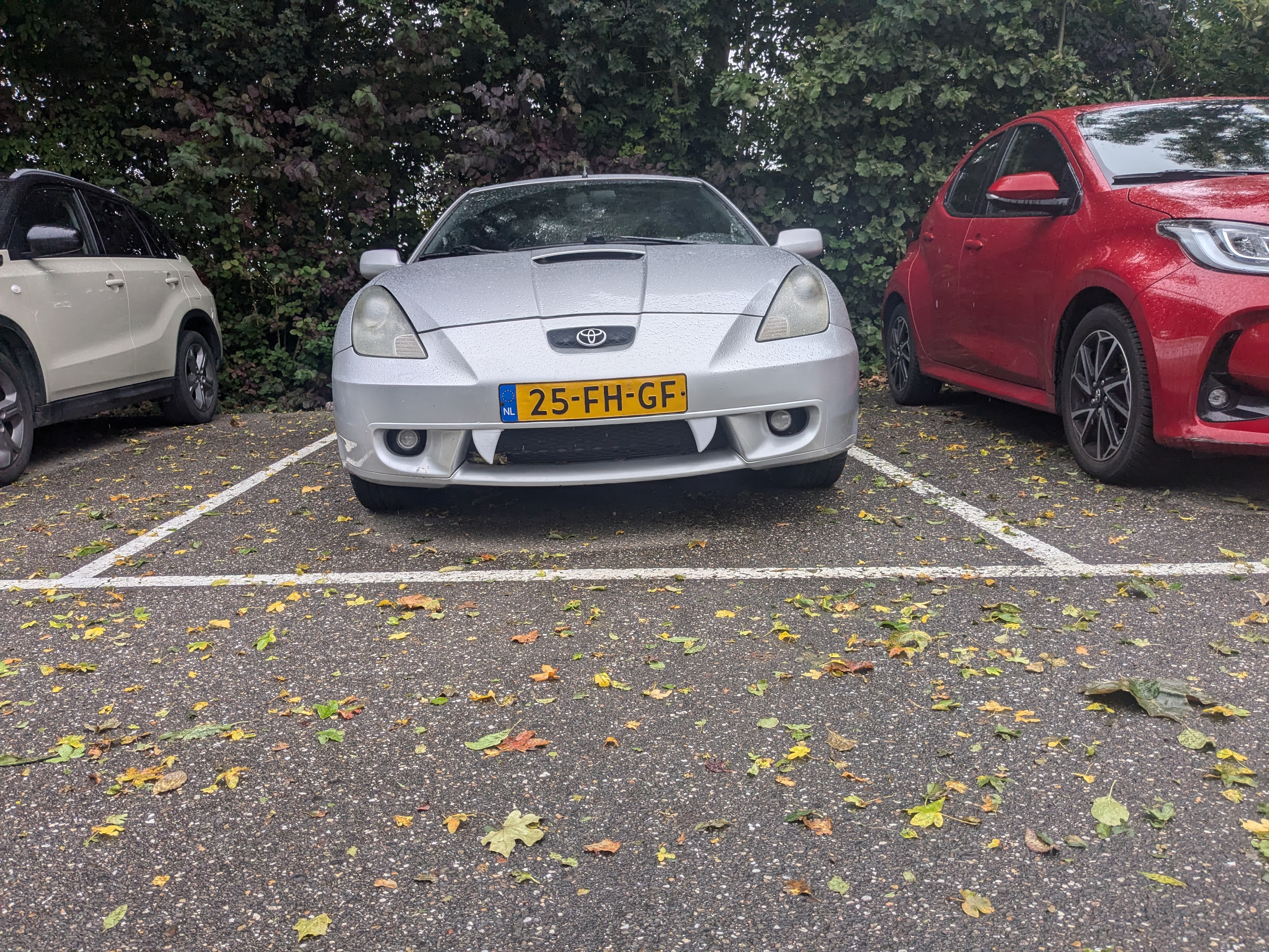 front grill teeth (miata fangs)