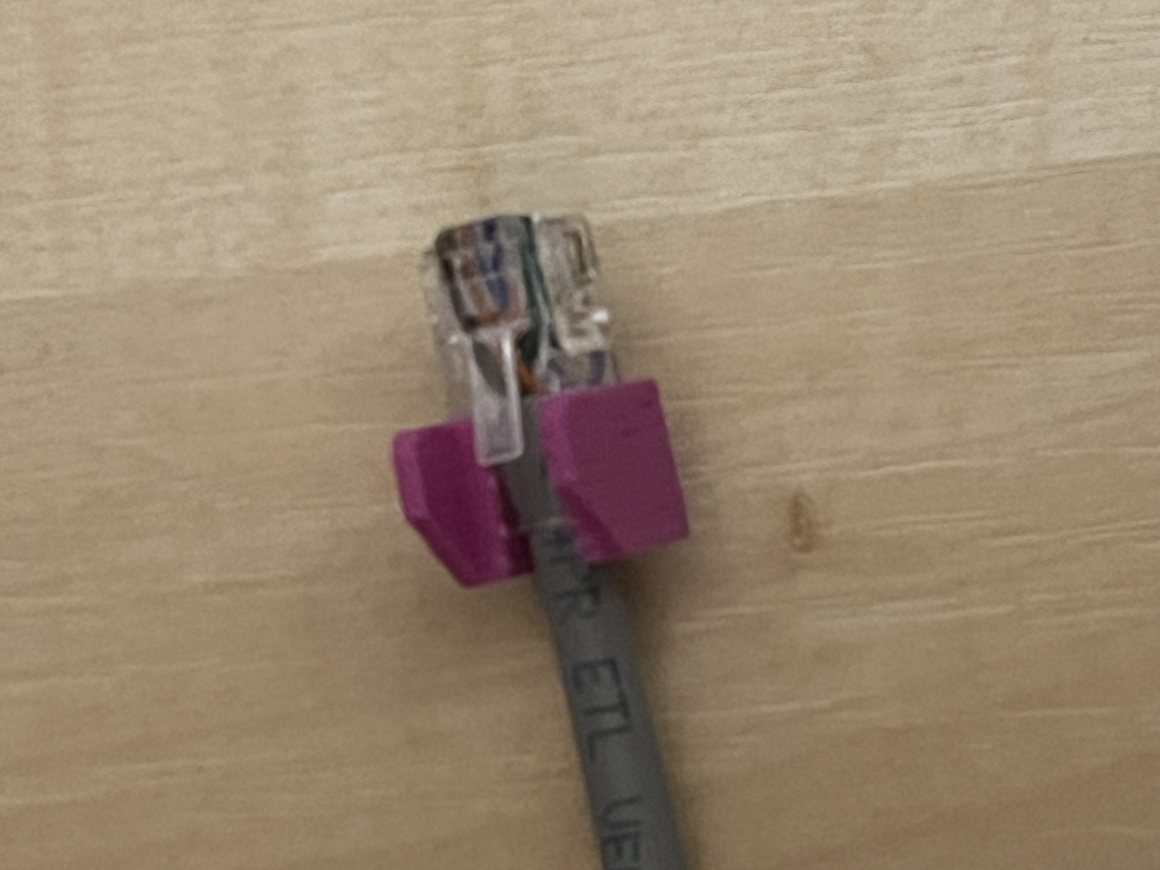 RJ45 Clip Protector