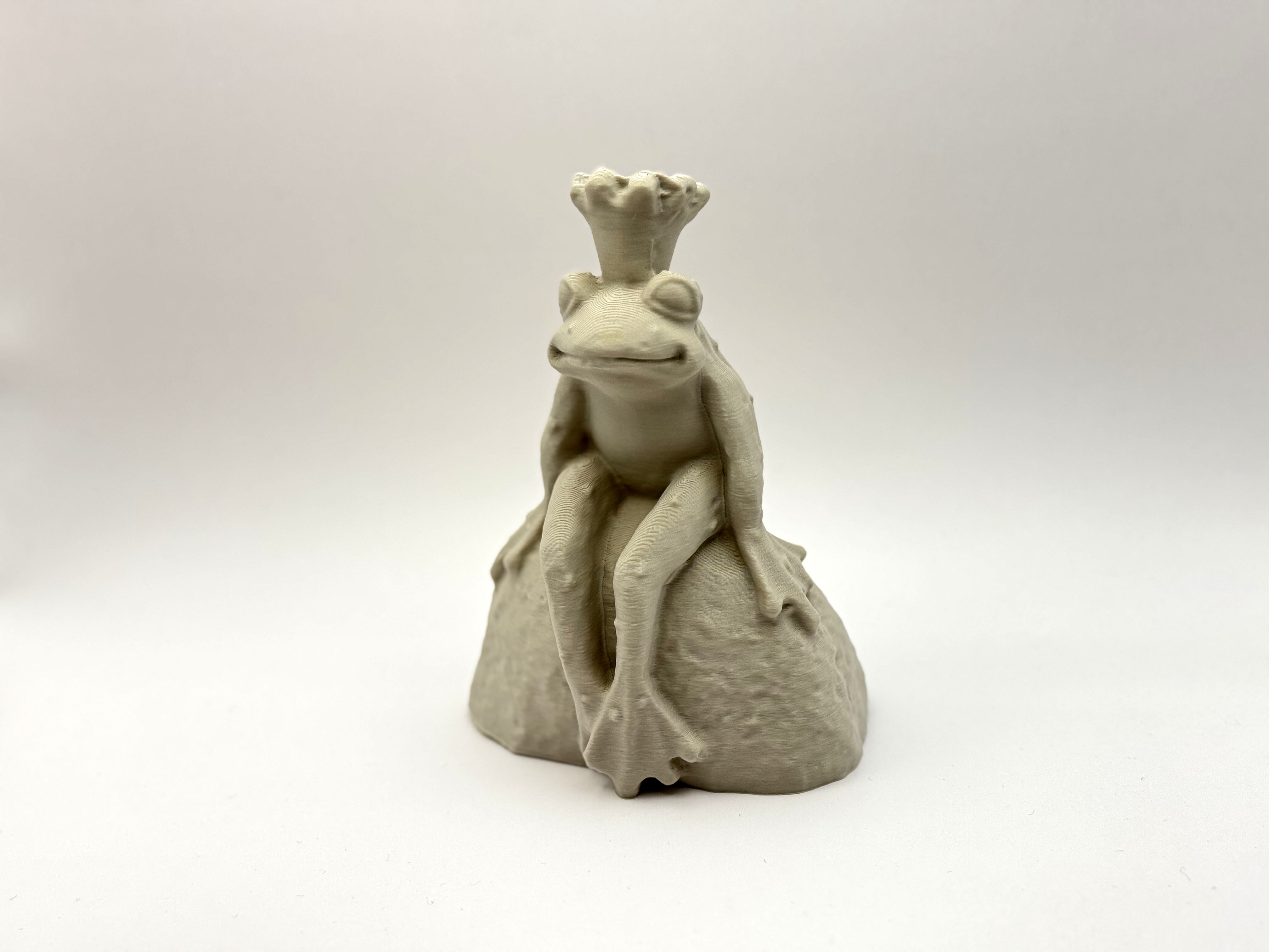 Waiting Frog