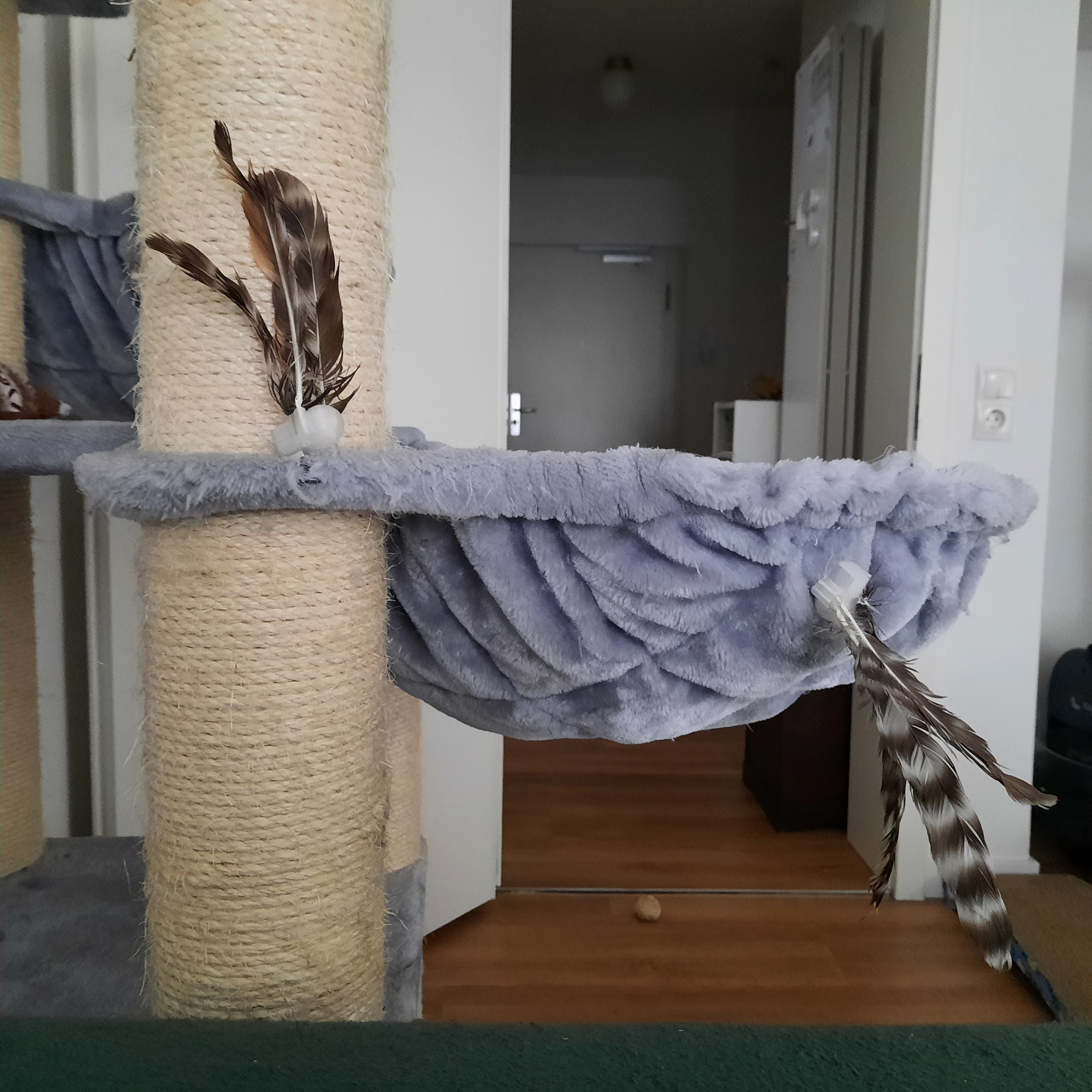 Magnetic Cat Toy By Achiles Download Free STL Model Printables Magnetic Cat Toy By Achiles Download Free STL Model Printables