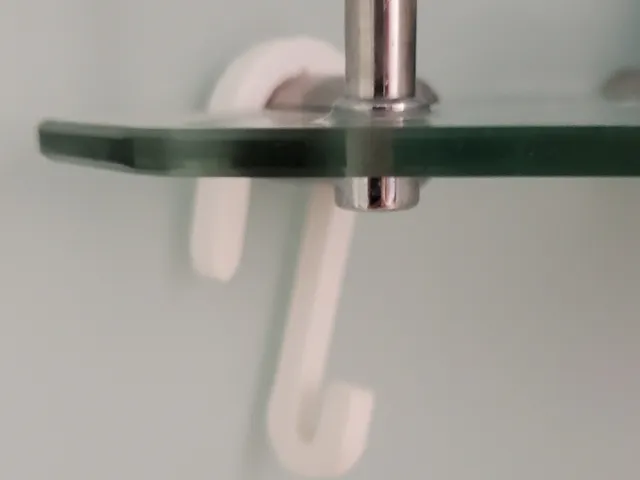 Shower Hook