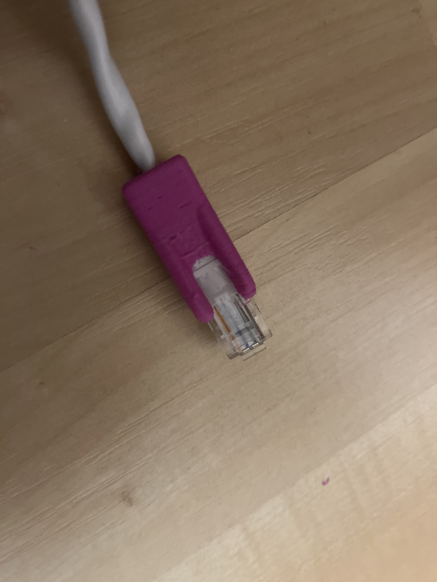 RJ45 Ethernet Plug Protector