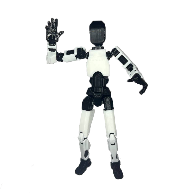 Dummy 13 - Tesla Optimus Version