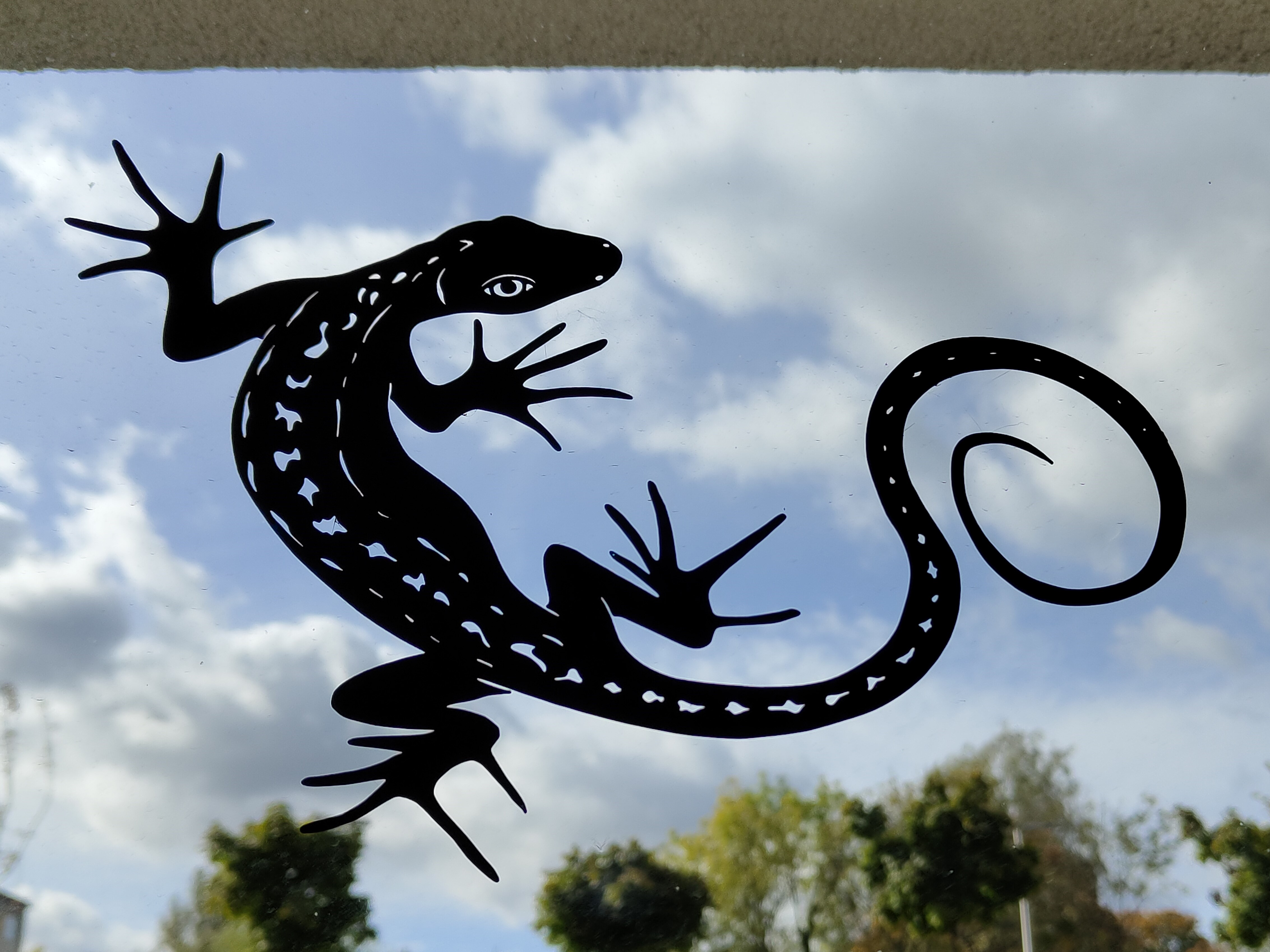 Friendly Italian Lizard