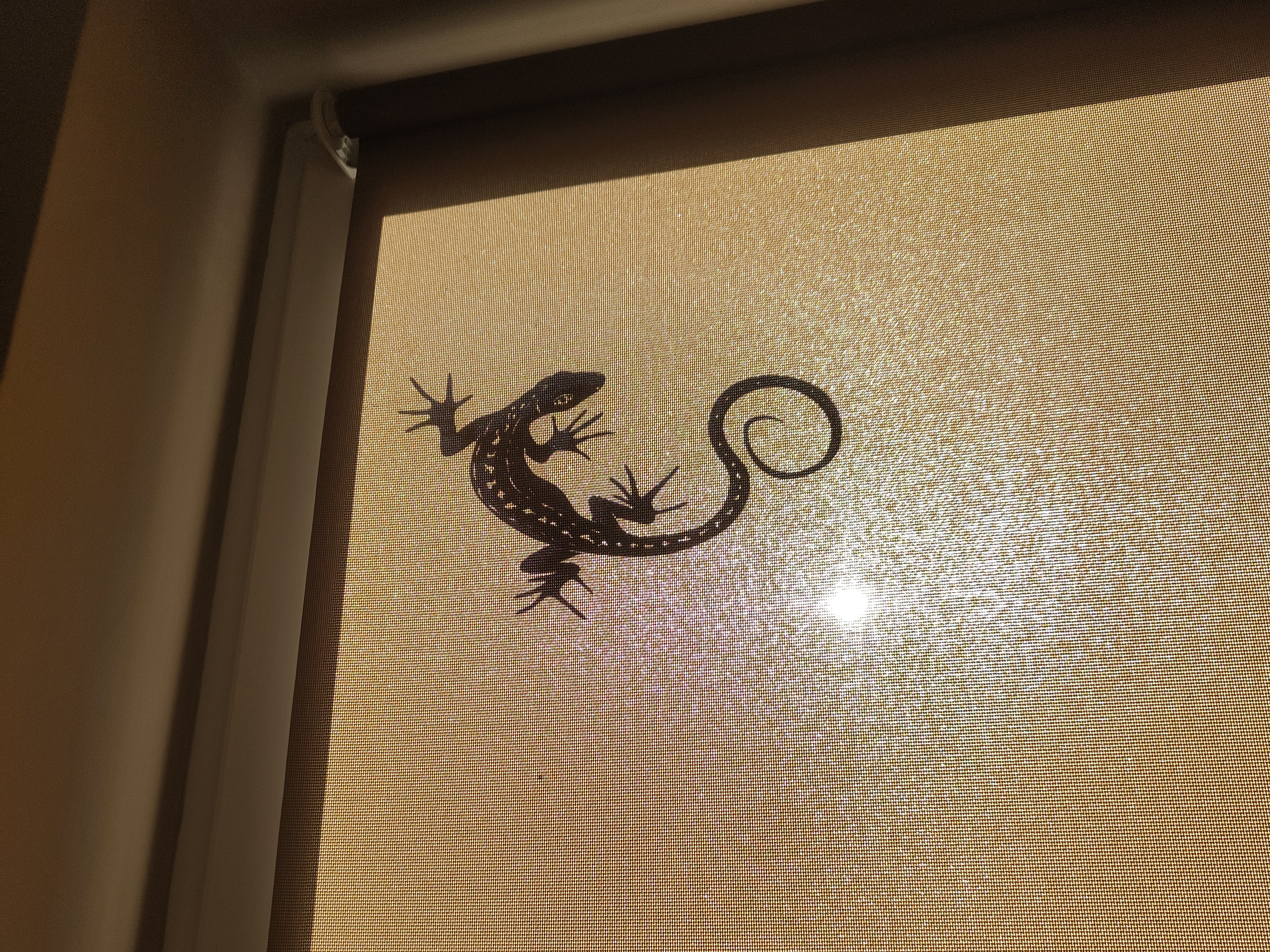 Friendly Italian Lizard — miniatura 3