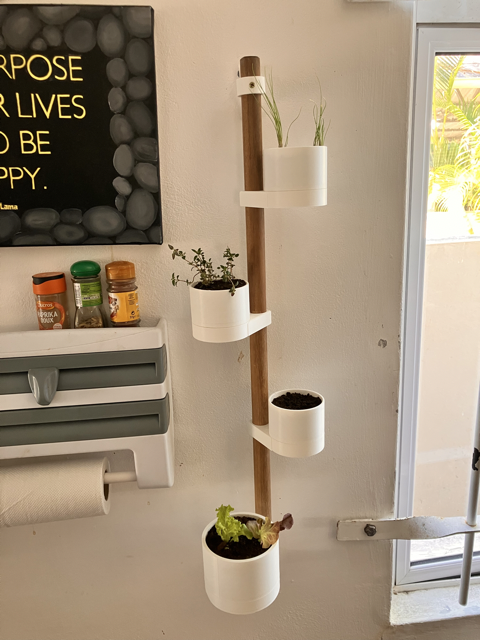 Small Space Vertical Planter for Herbs