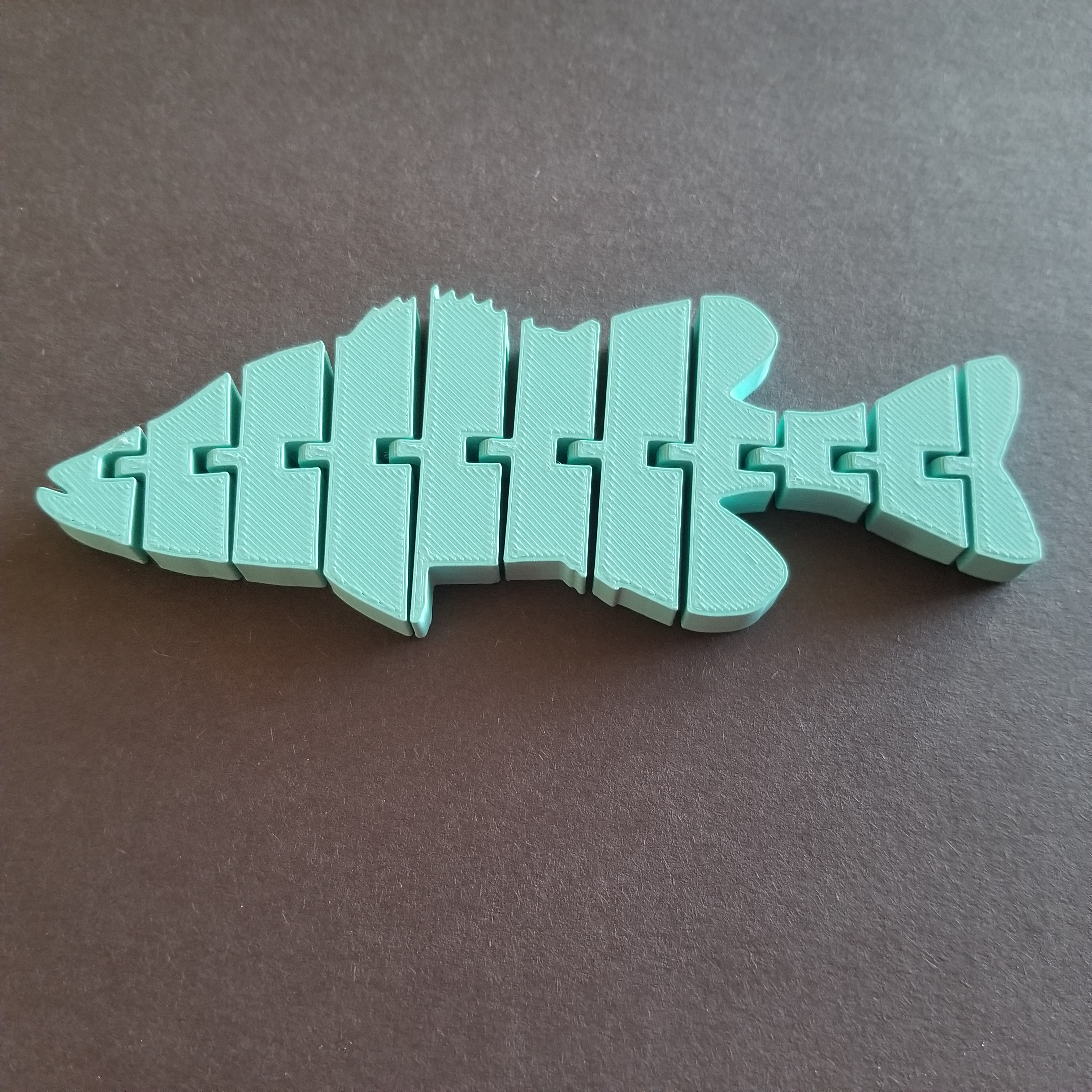 Flexi Fish Articulated Fish