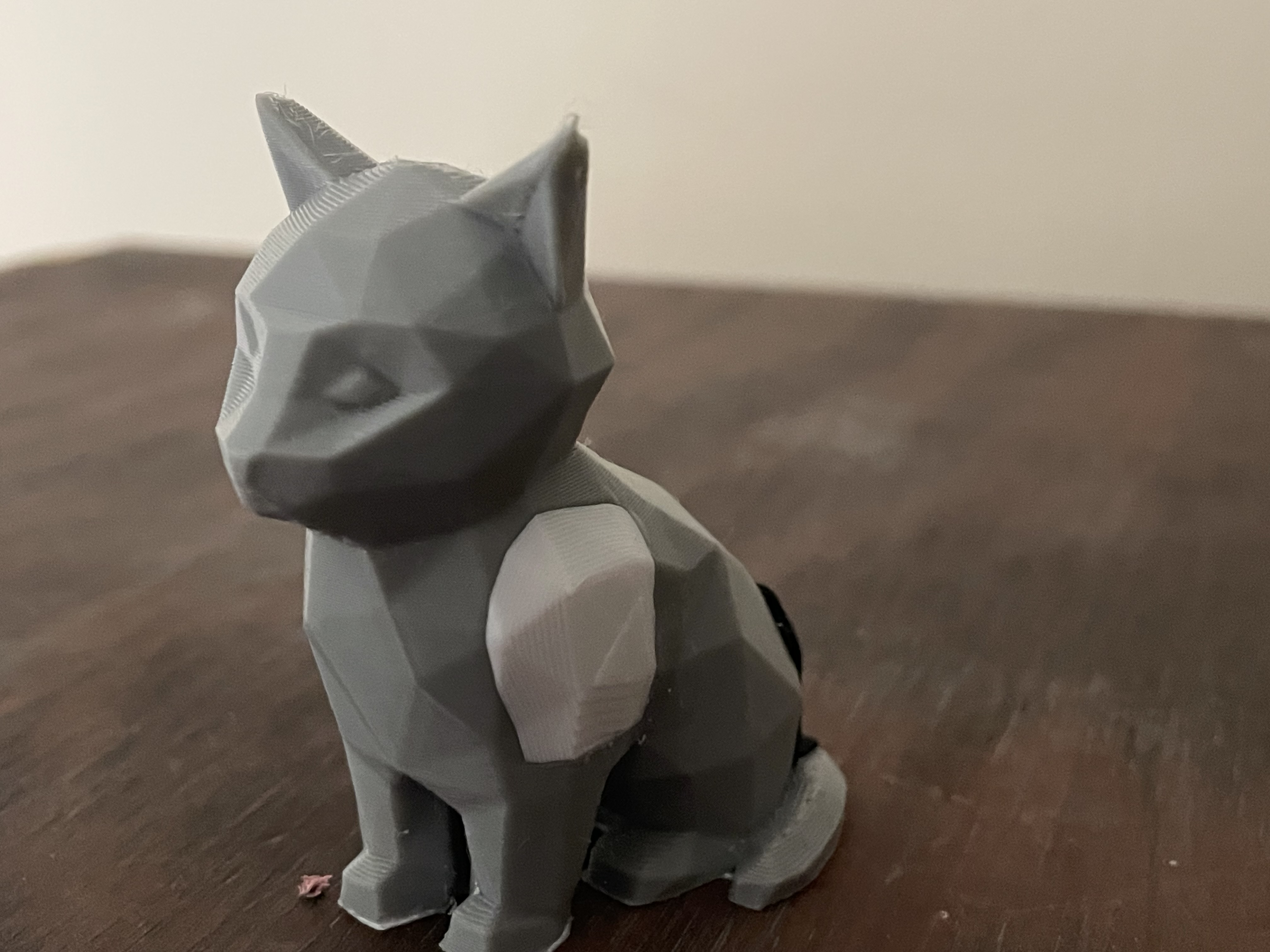 Cute Multi Color Cat