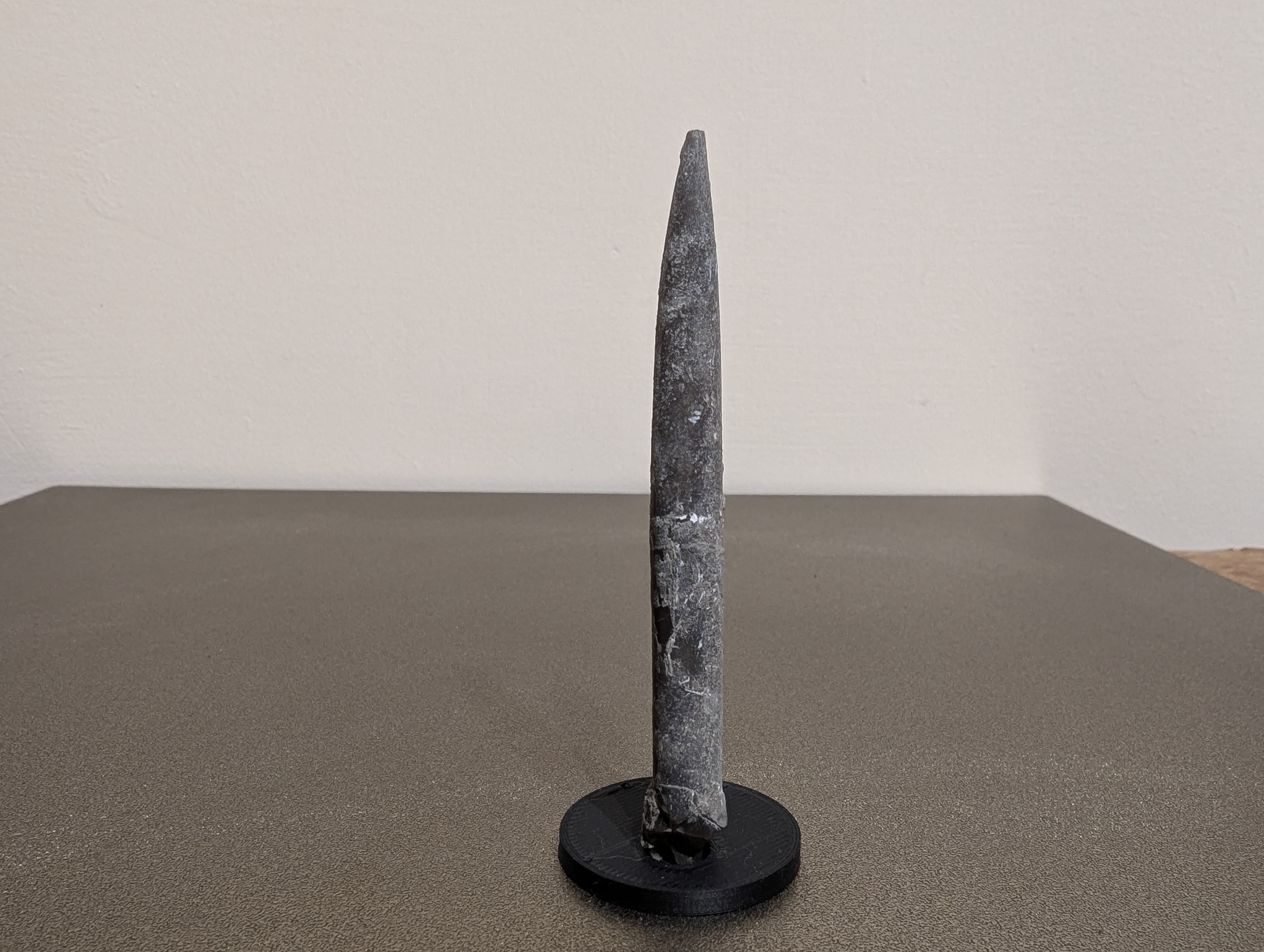 Belemnite fossil Stand Customisable (or other rod shaped thing)