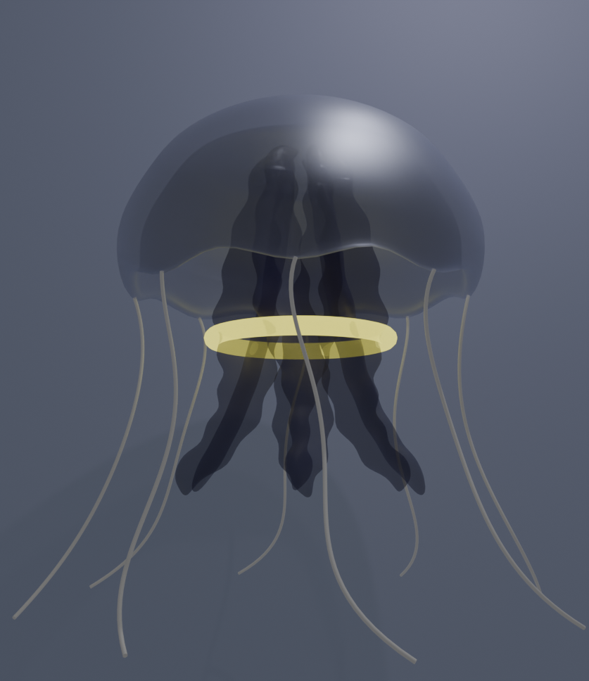 Jellyfish model