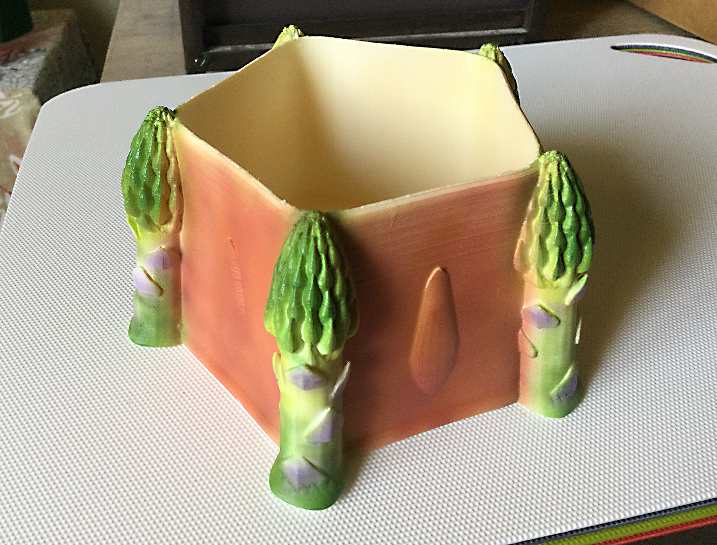 Asparagus Theme Decorative Box