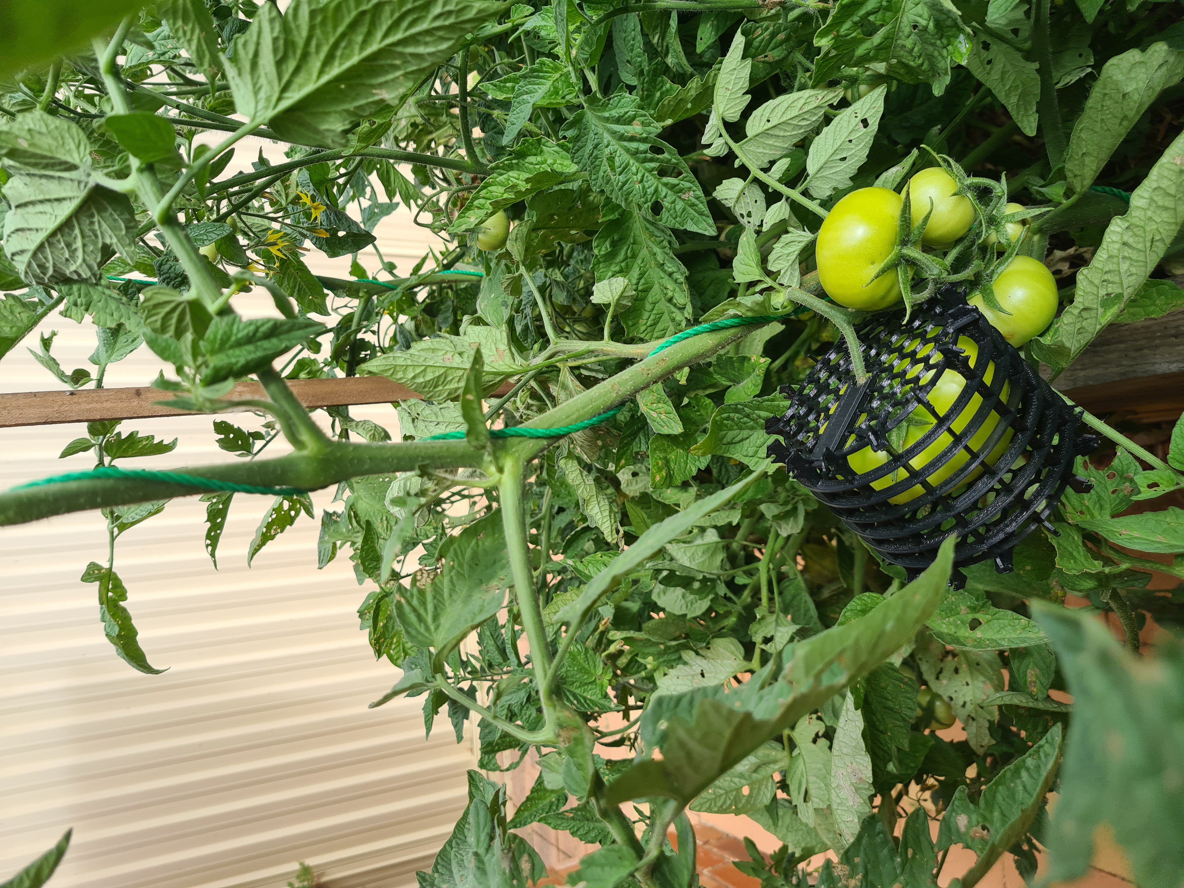 Fruit and Vegetable Protector Cage
