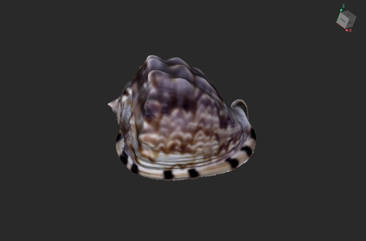 King Helmet Shell — thumbnail 2