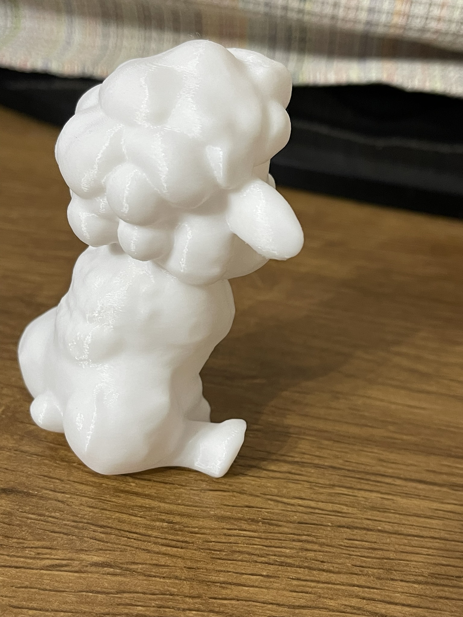 Sitting Sheep — thumbnail 2