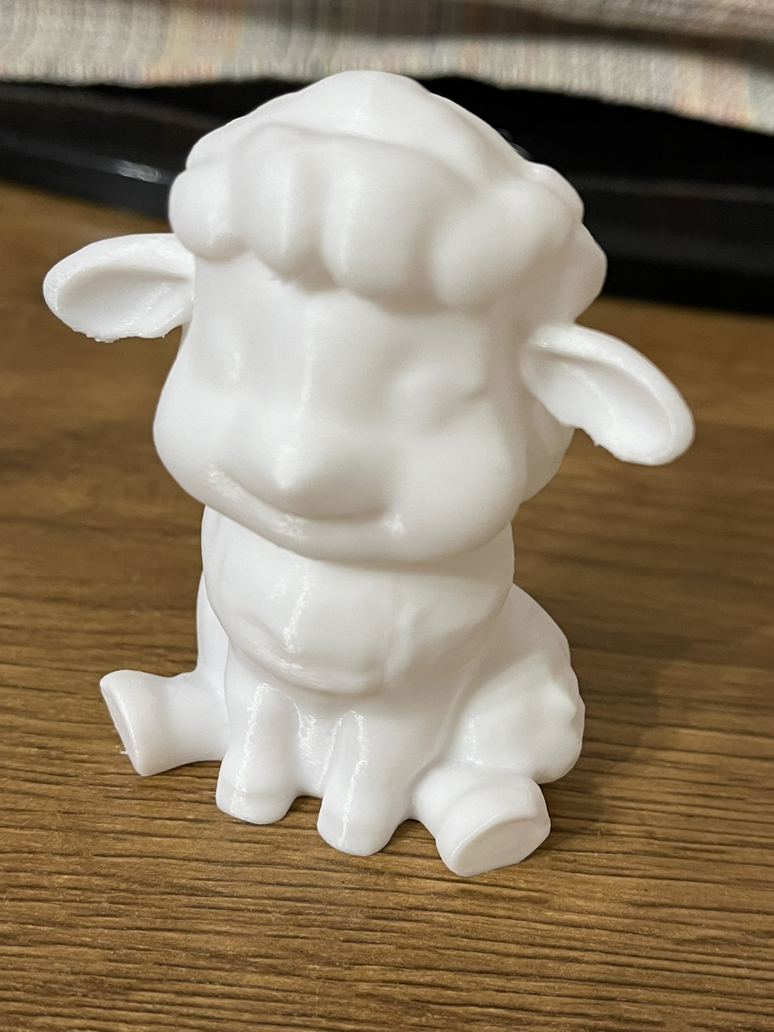 Sitting Sheep