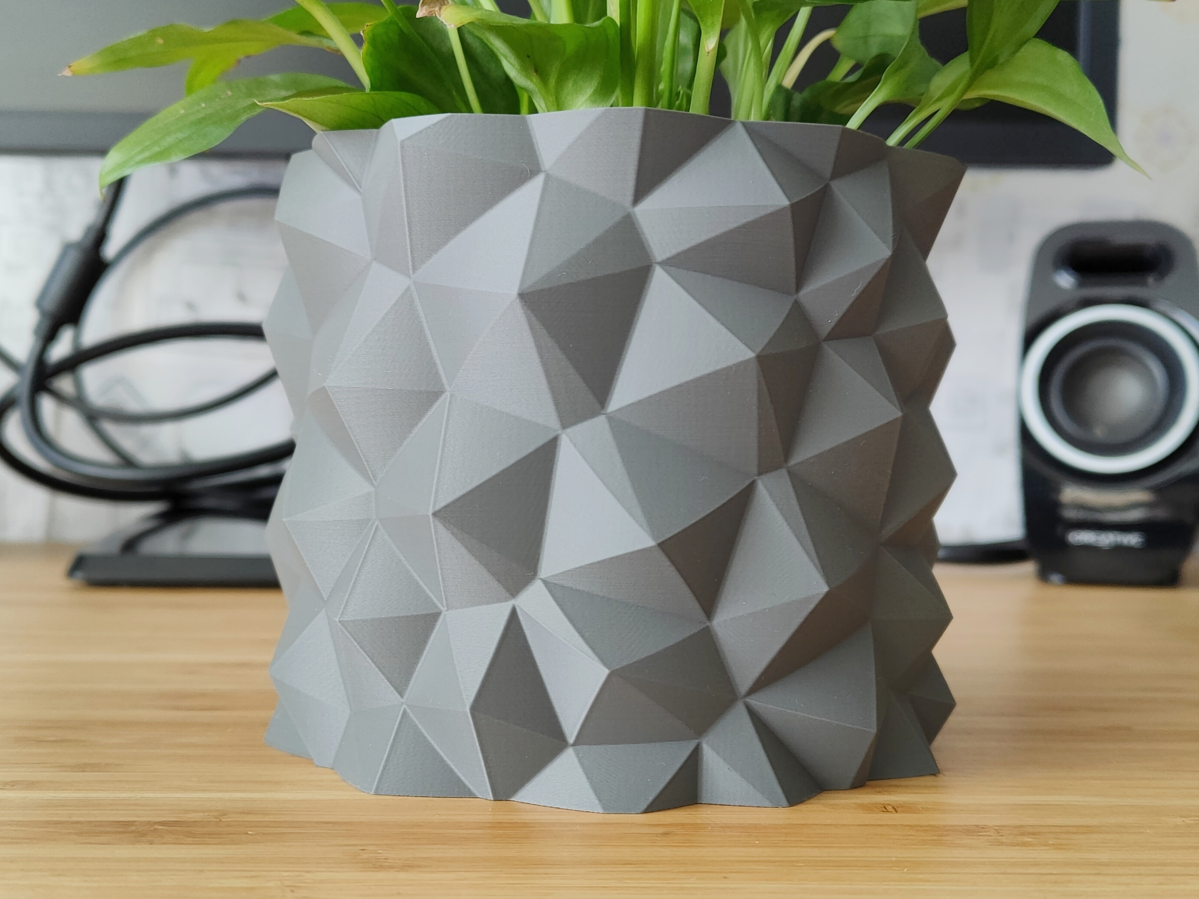 Parametric Rock Plant pot and Planter - Vase mode design