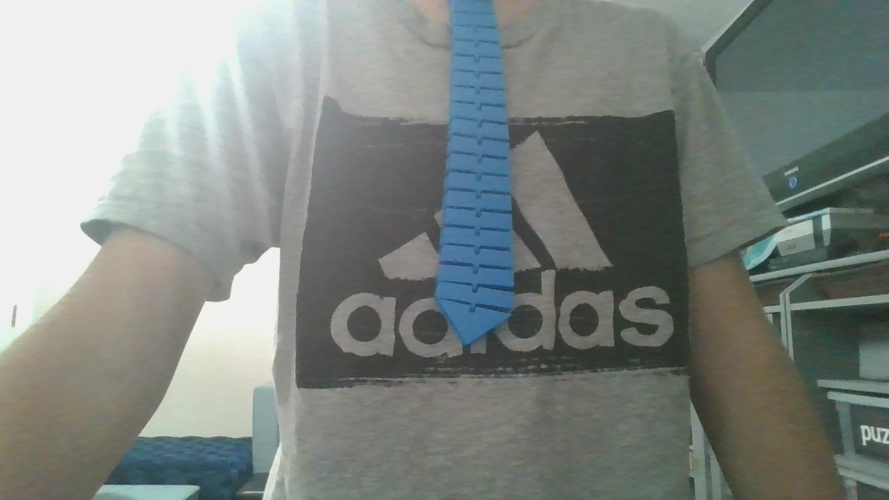 flexi necktie