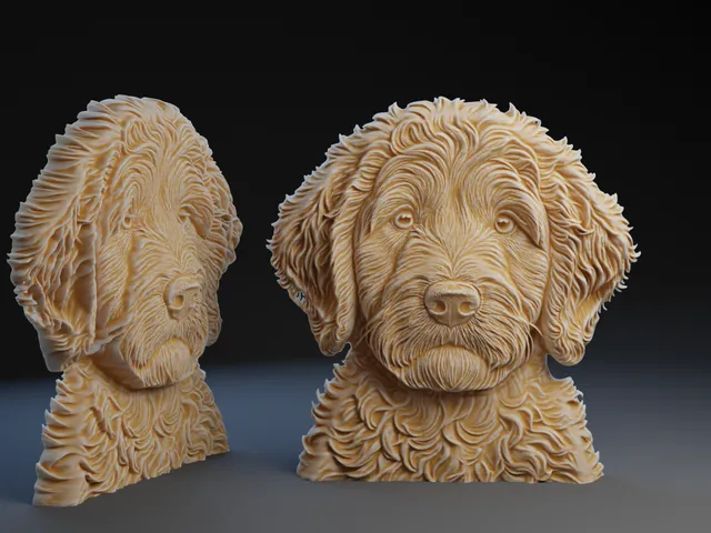 Golden Doodle