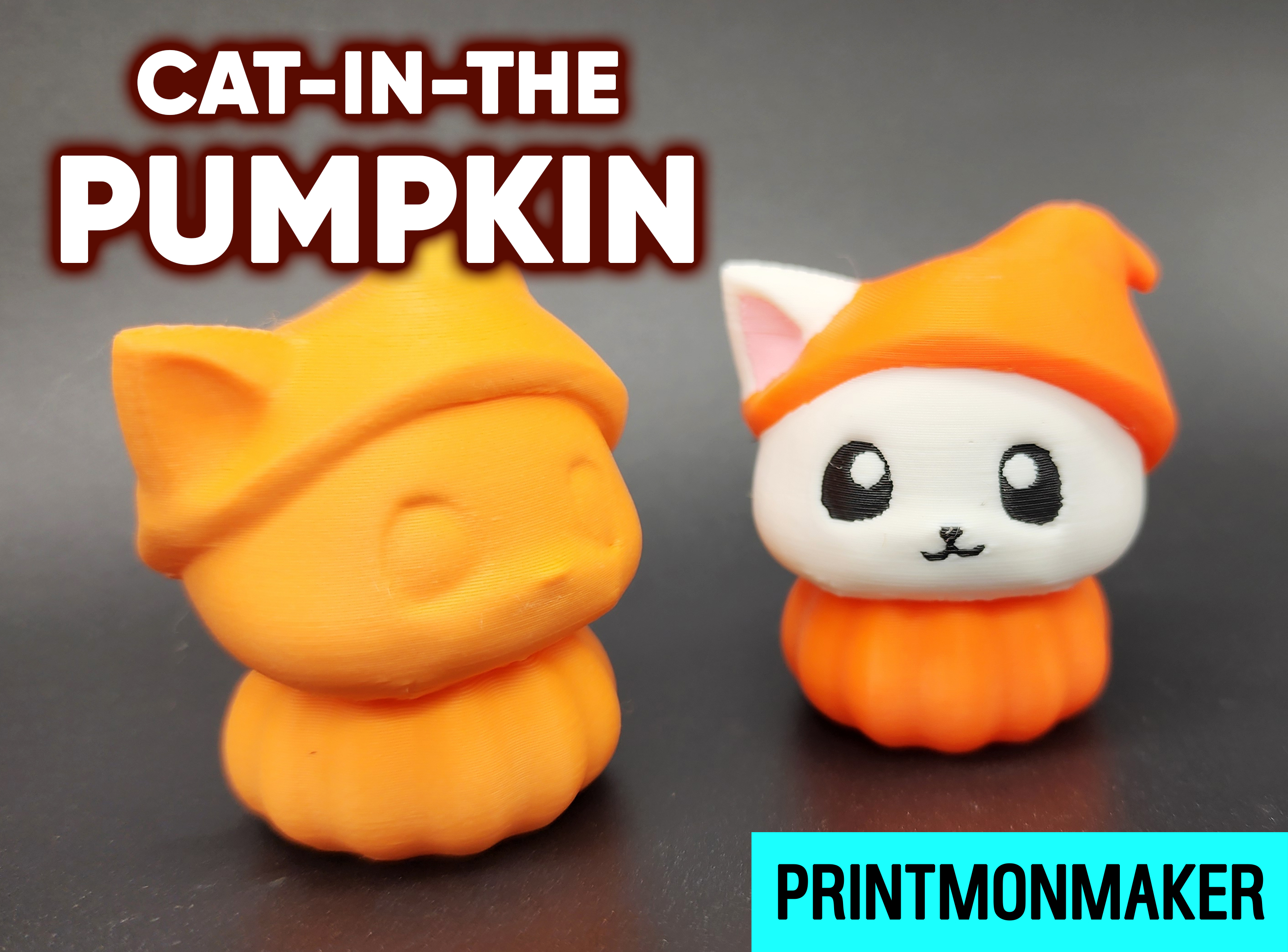 Cat in the Pumpkin AMS MMU
