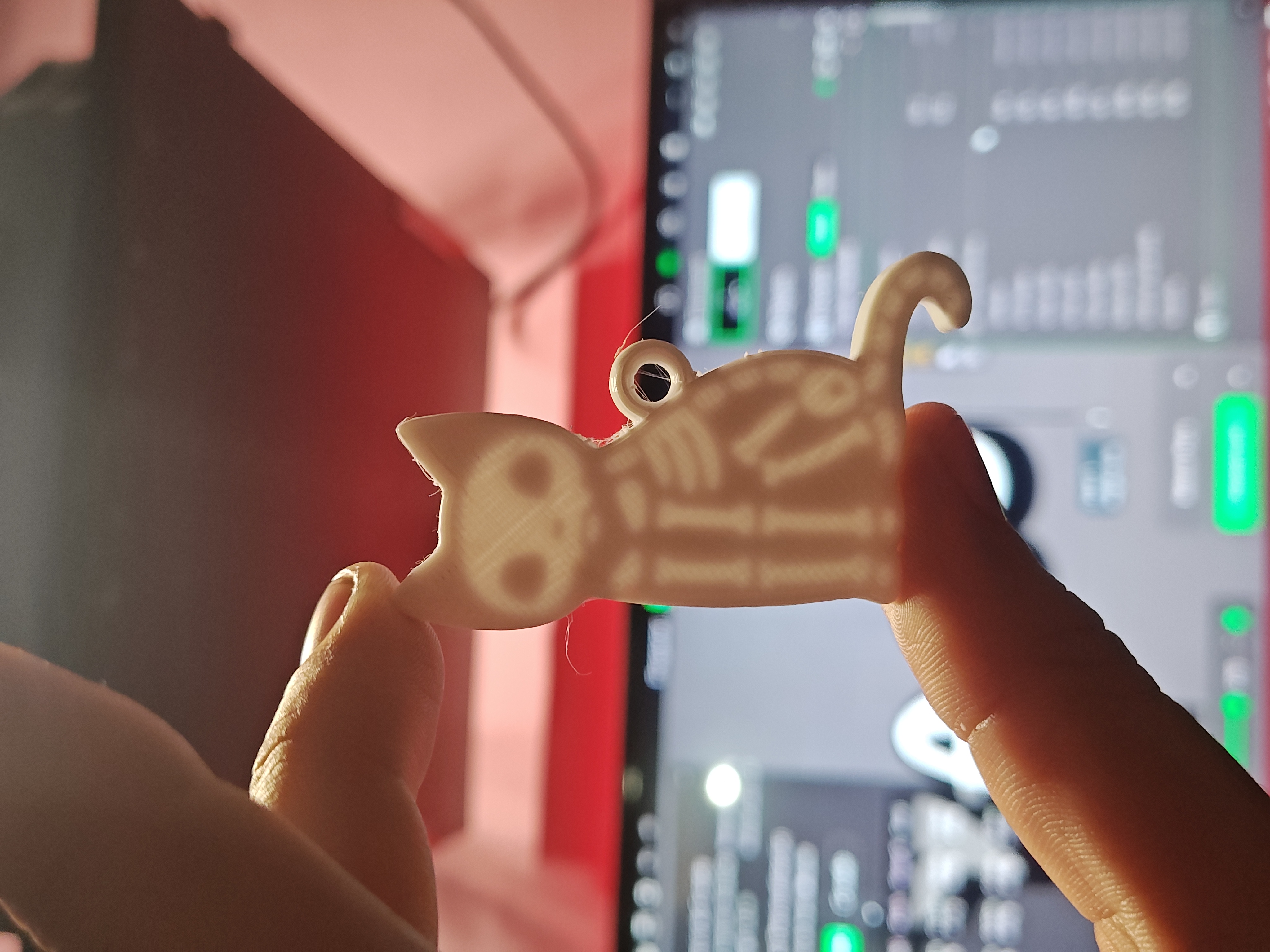 Cat skeleton keychain
