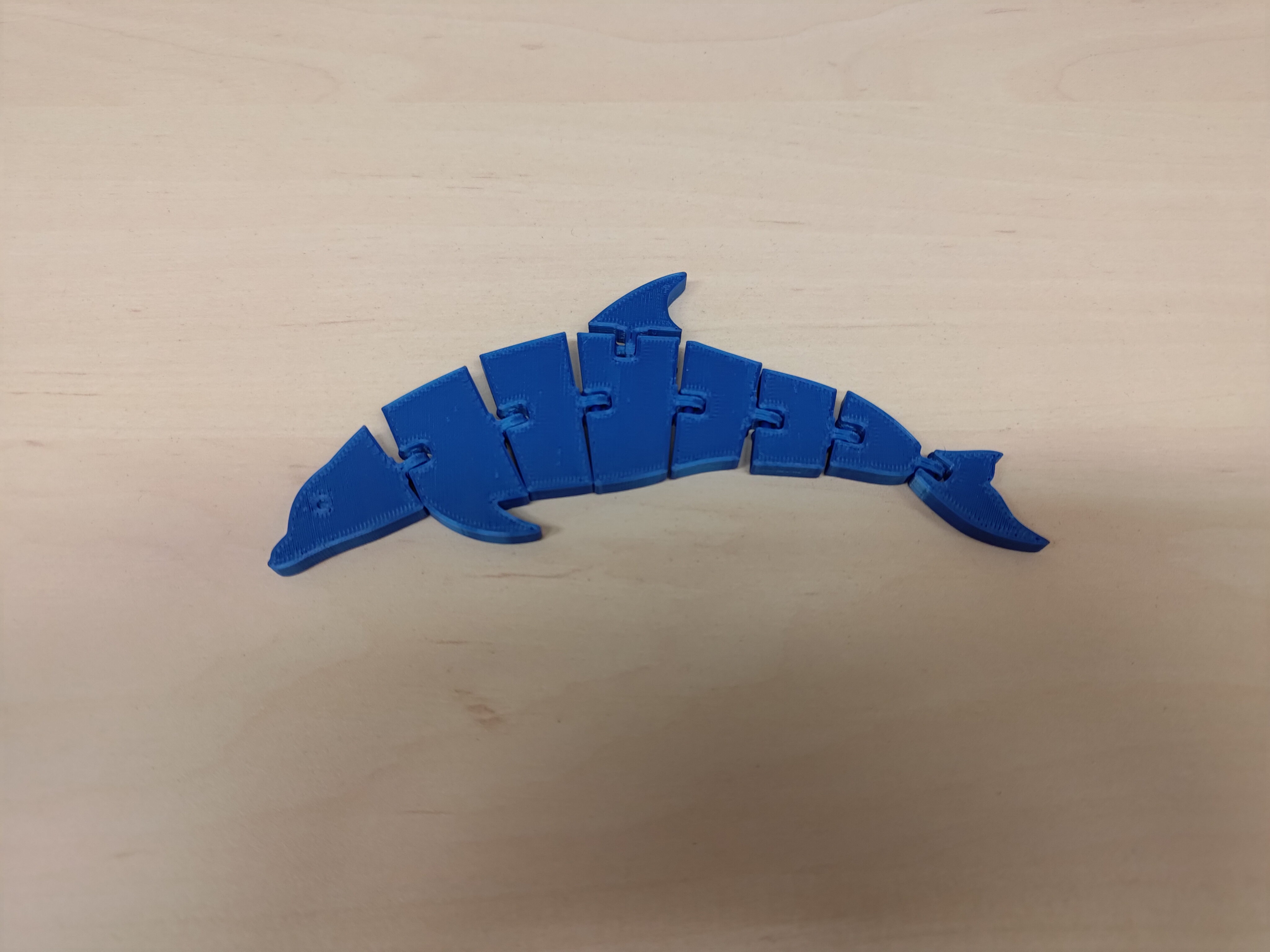 Articulated dolphin