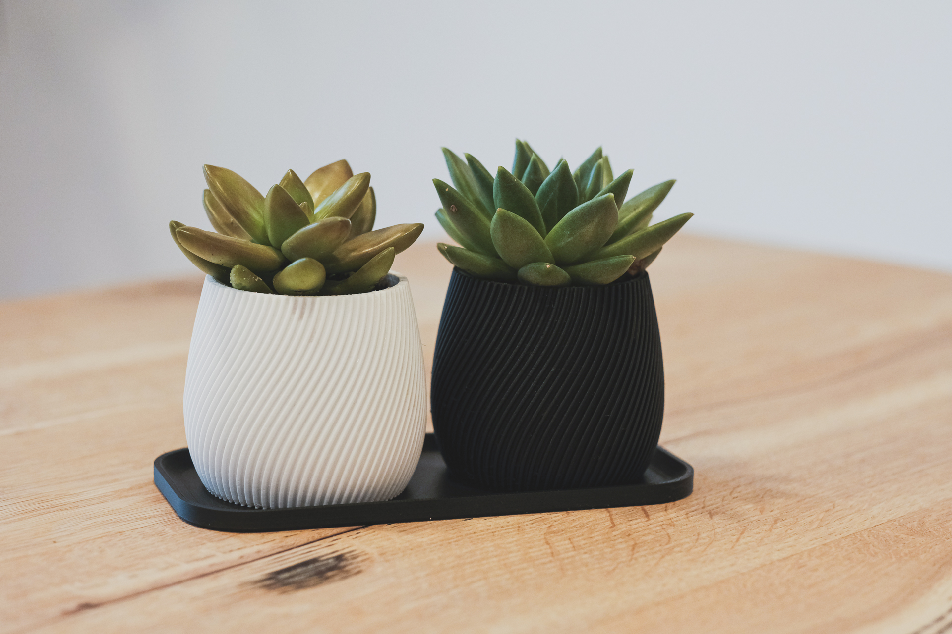 Modern Spiral  Planter