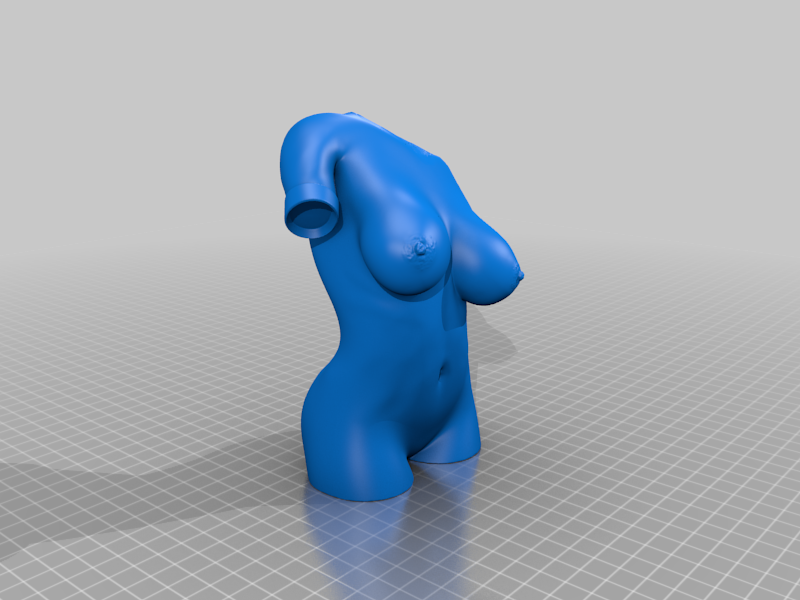 Female torso — miniatura 4
