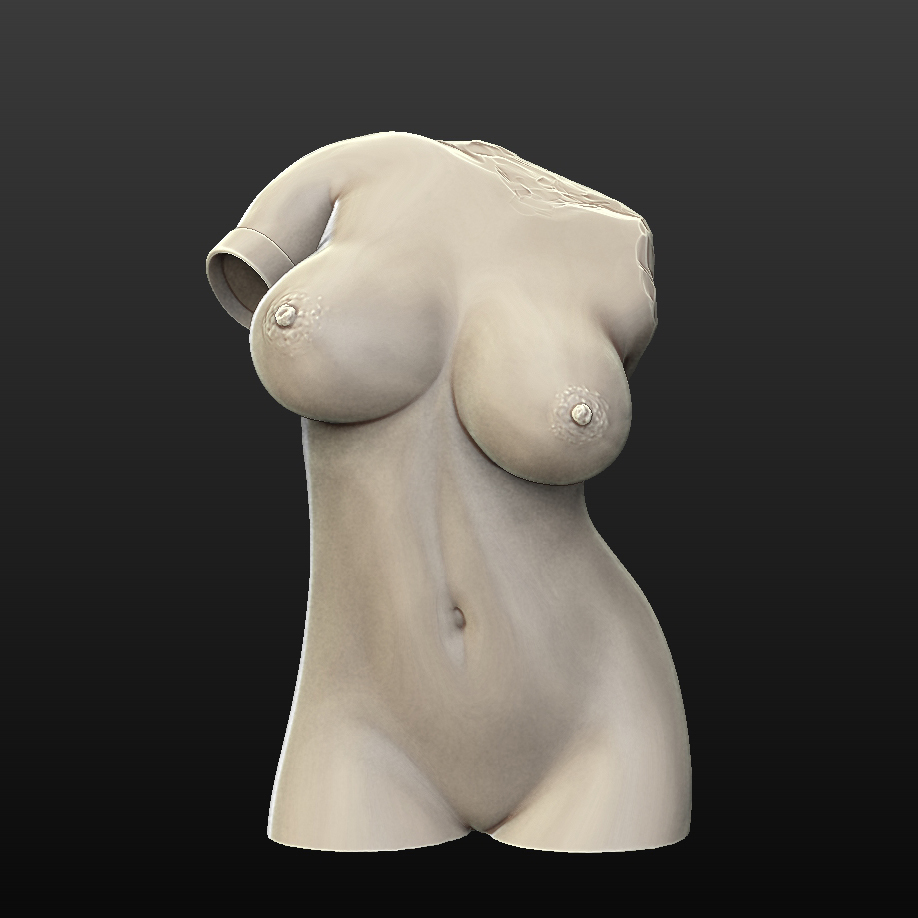 Female torso