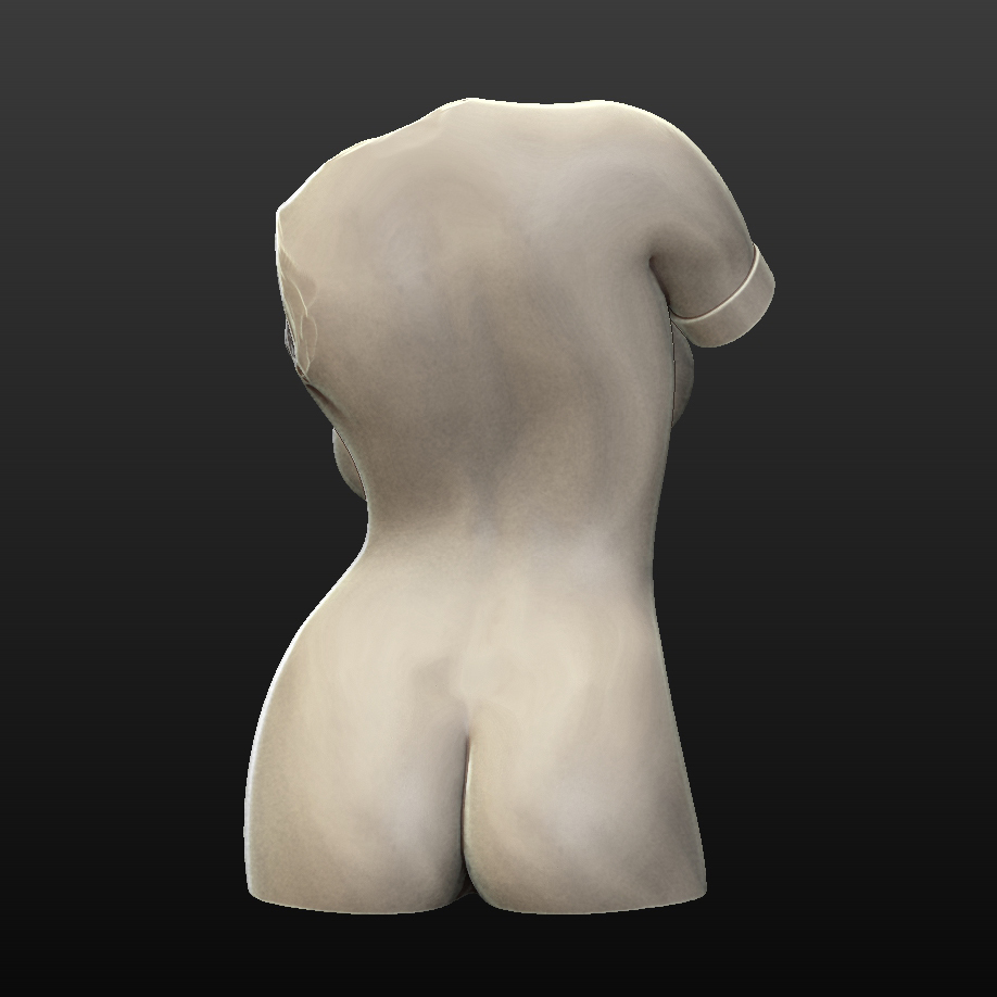 Female torso — miniatura 2