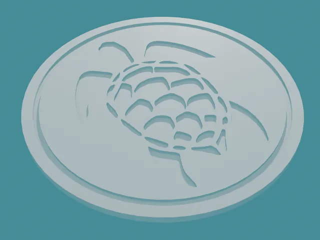 Turtle Coaster