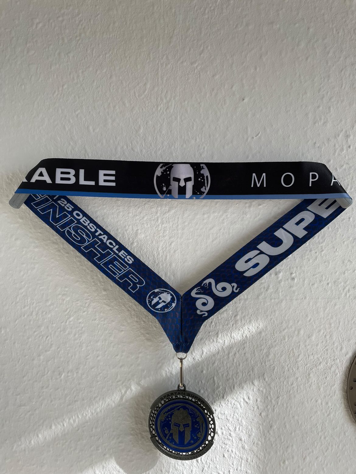 Spartan medal wall holder by Hráďa Download free STL model