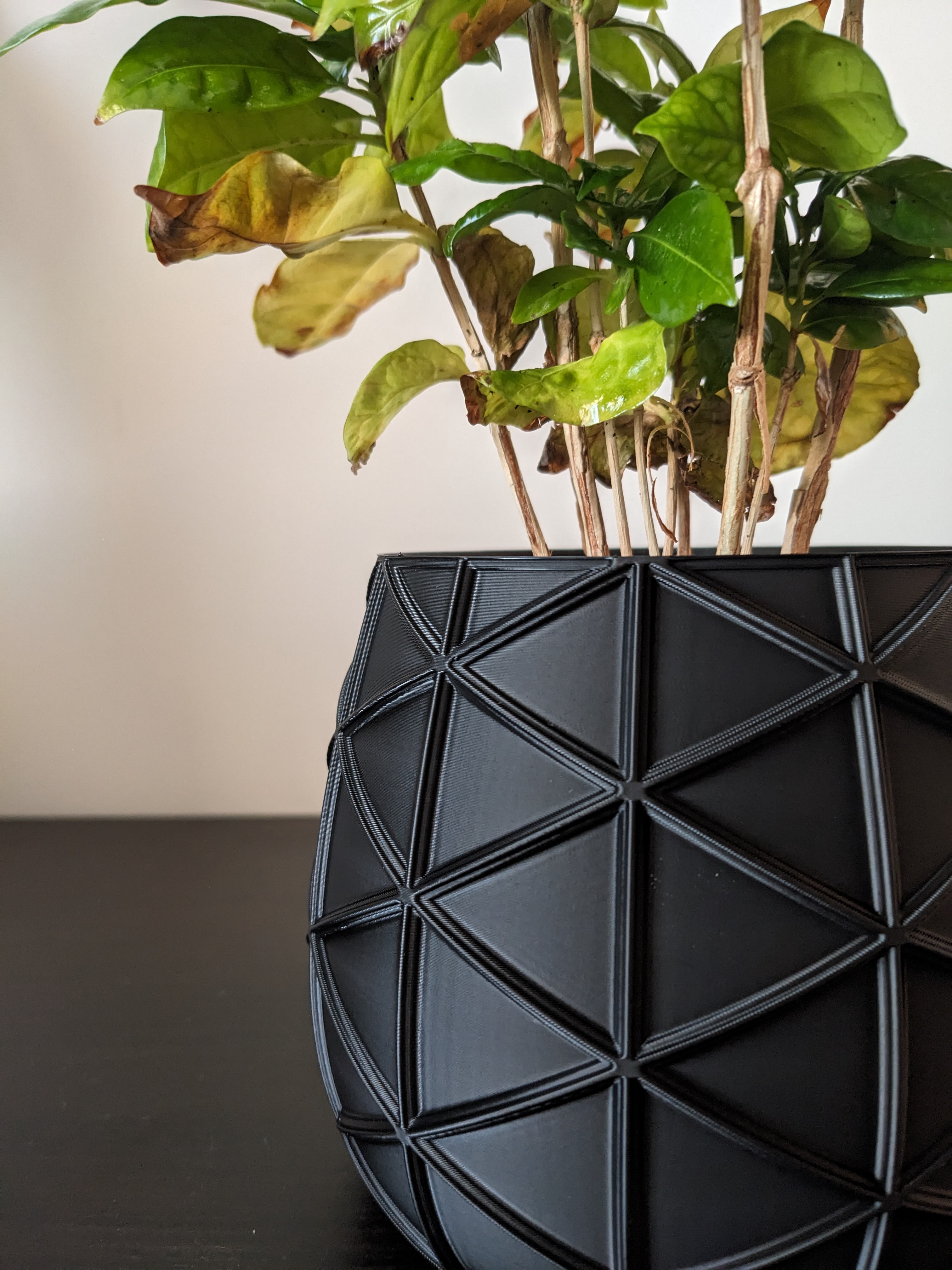 Designer Planter — miniatura 3