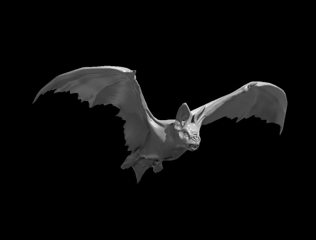 Skin Bat
