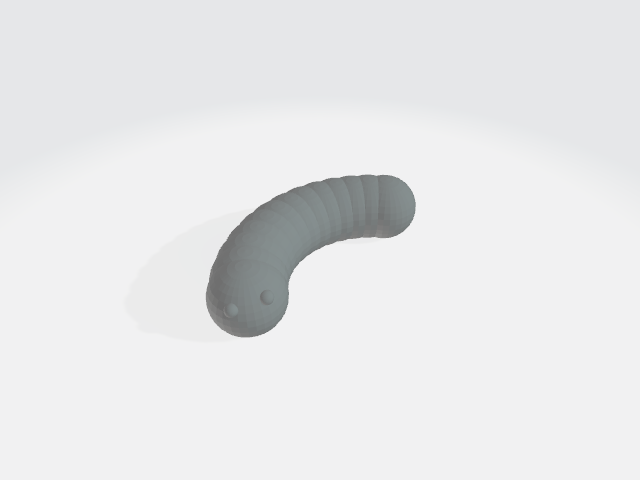 Raupe  /  caterpillar