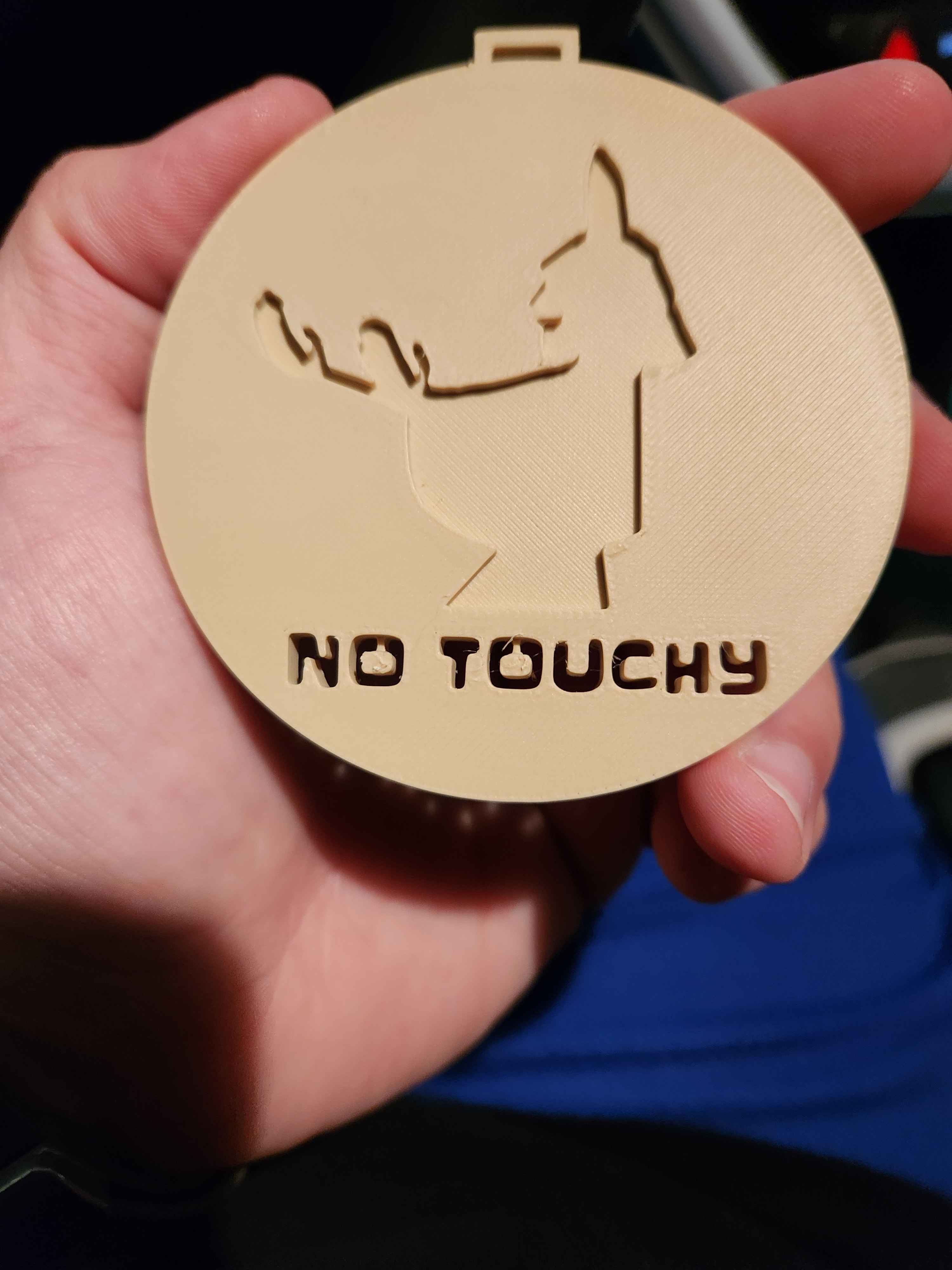 Emperor's New Groove NO TOUCHY Medallion