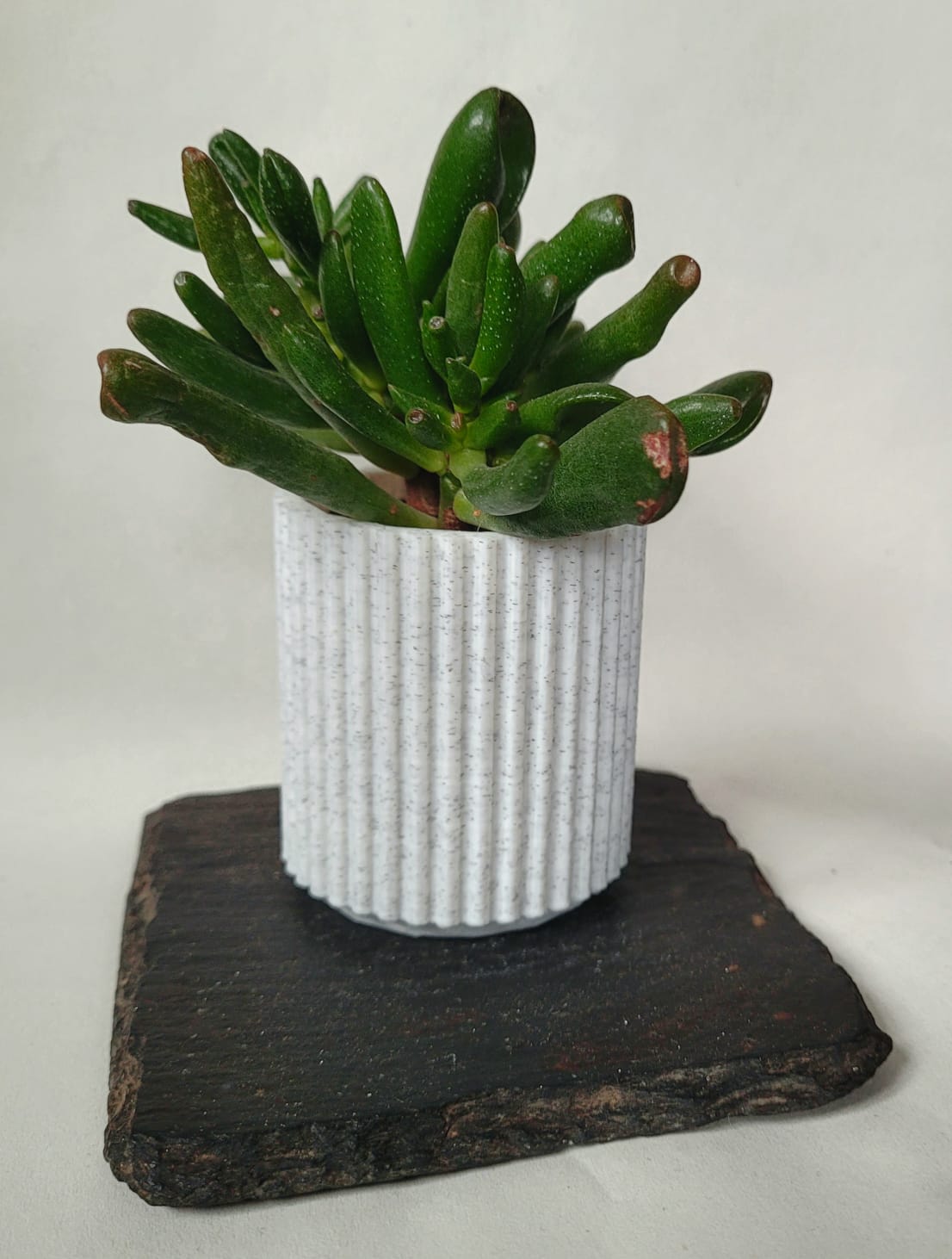 Stylish Modern Planter.