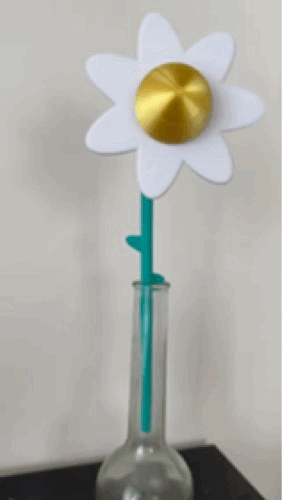 rotating daisy