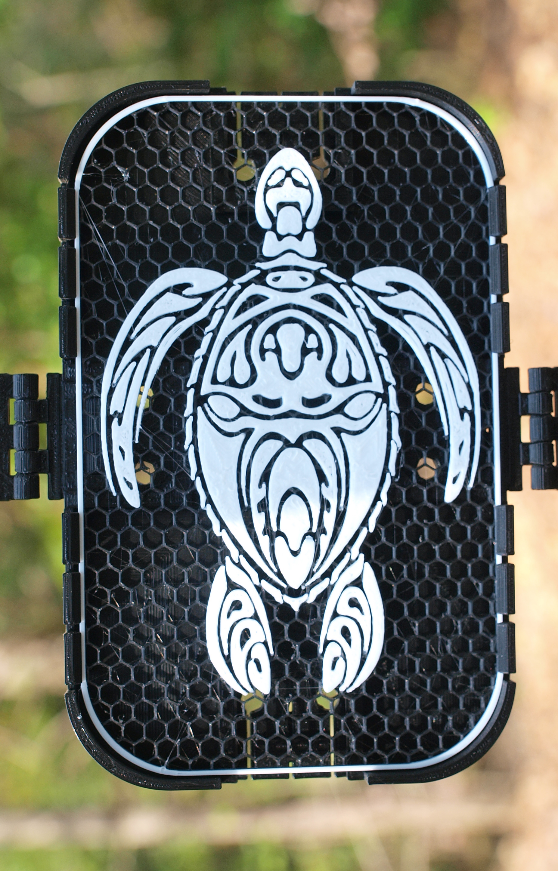 Sea Turtle sign