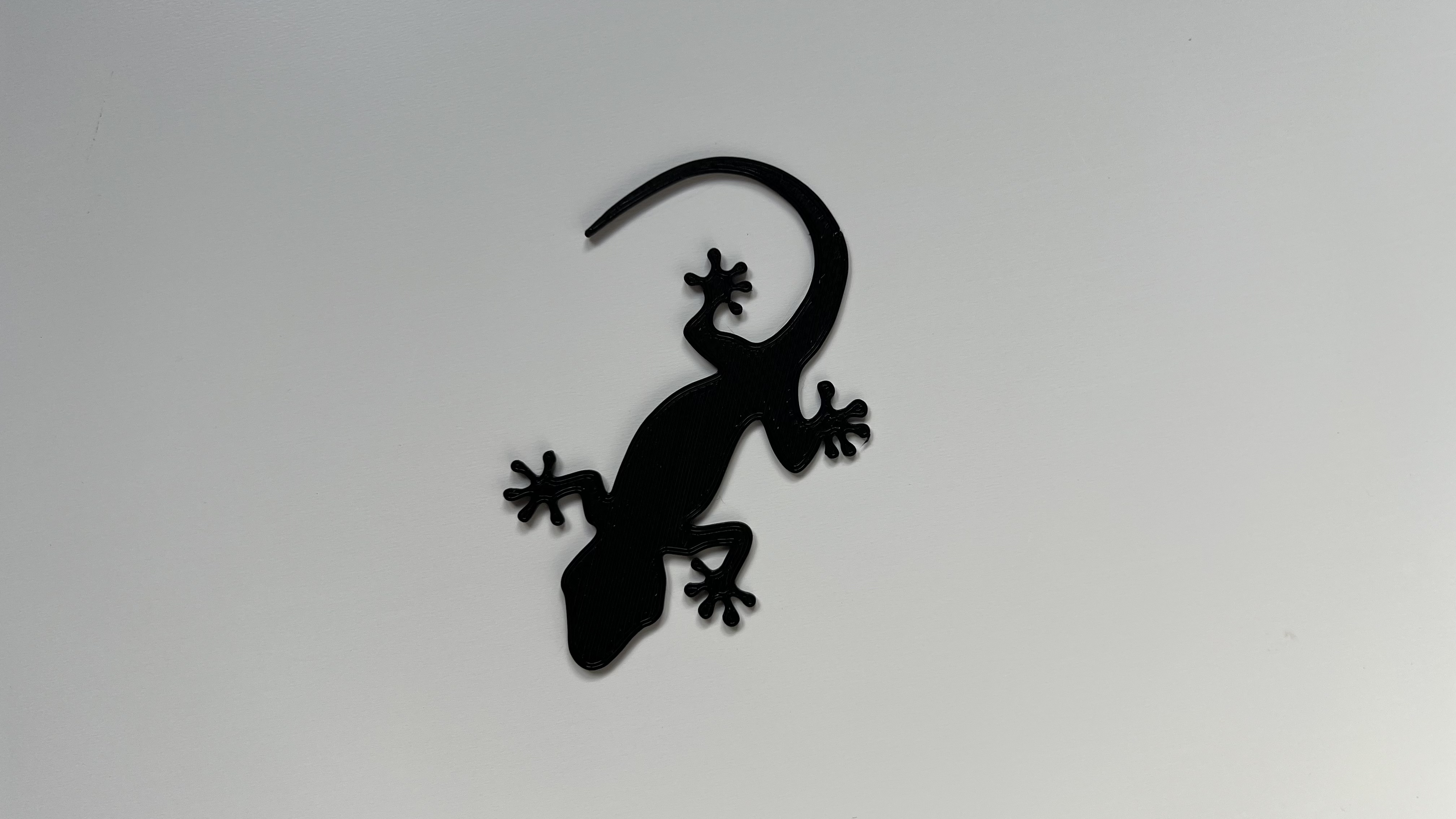 Lezard Wall Art #4