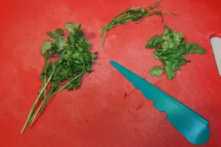 Herb Stripper