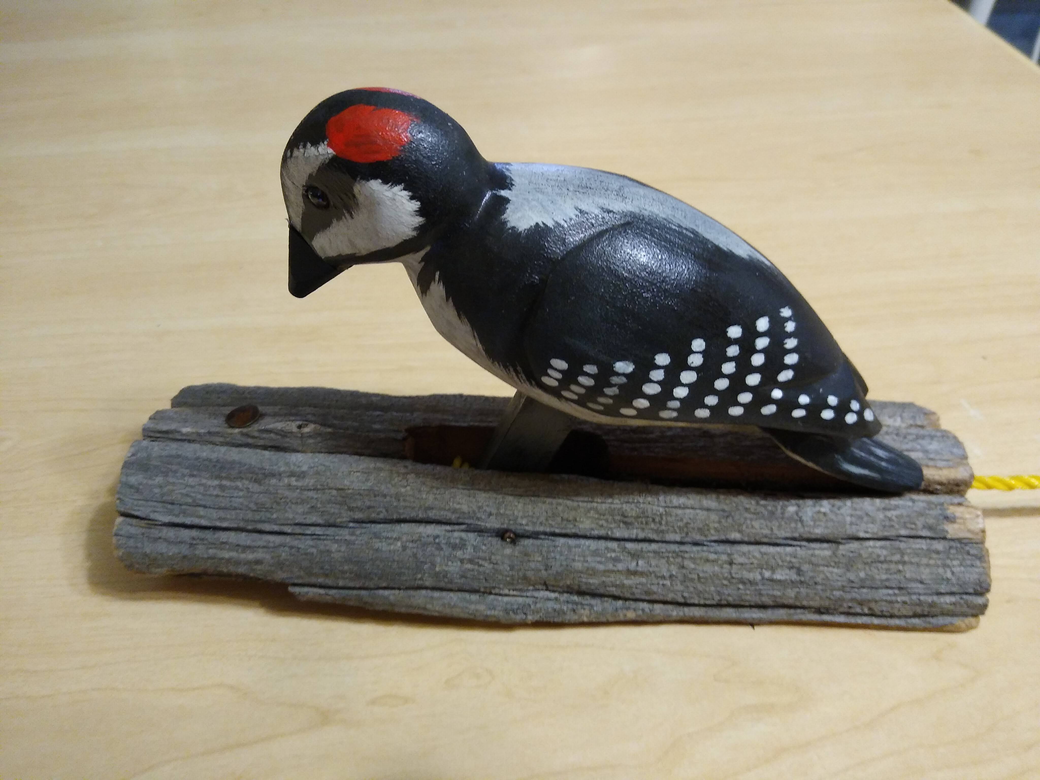 Woodpecker beak
