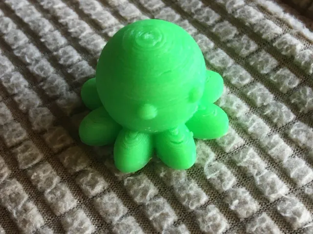 Cute Octopus/ Test Model