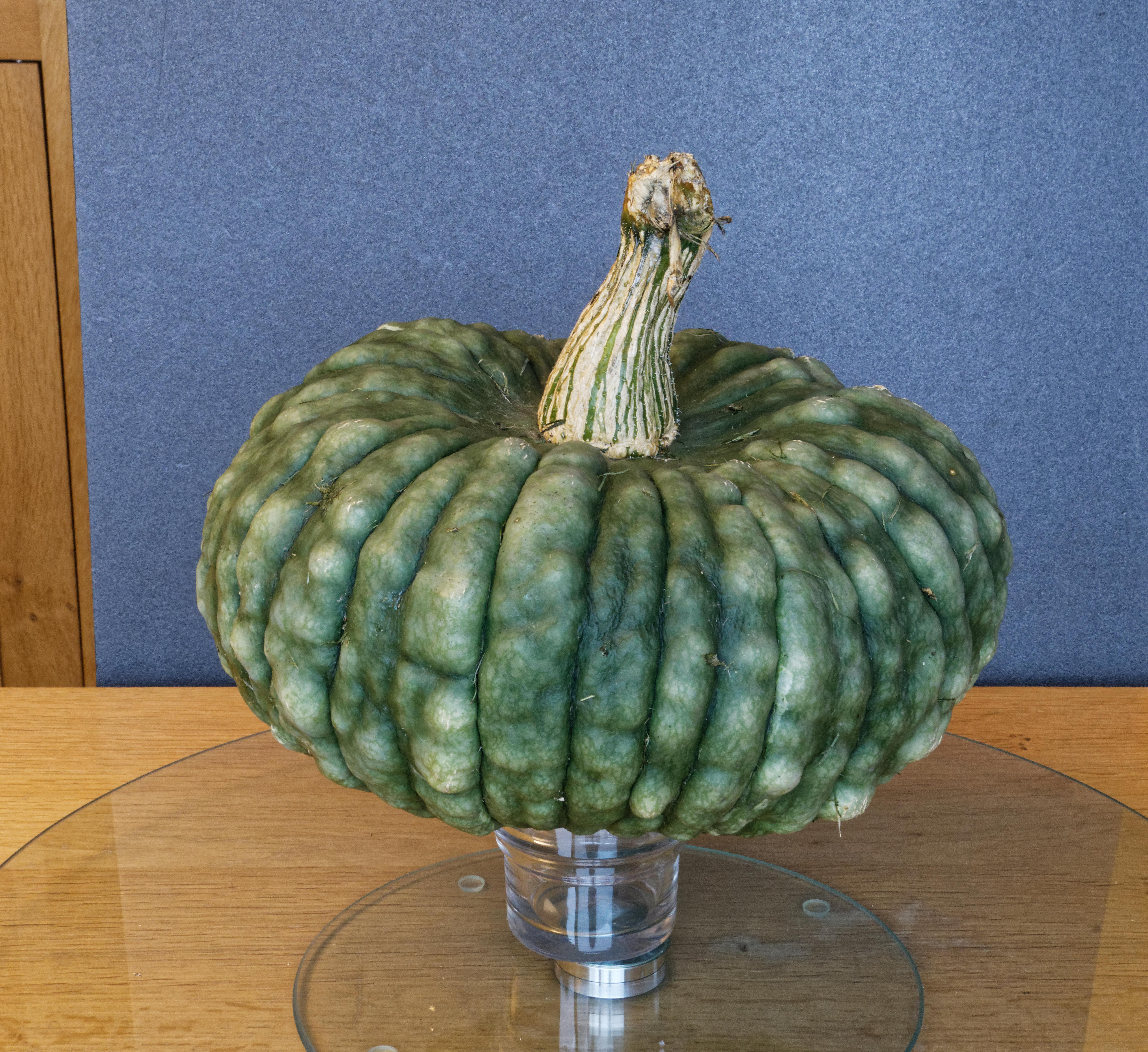 My superb pumpkin - mon magnifique potiron