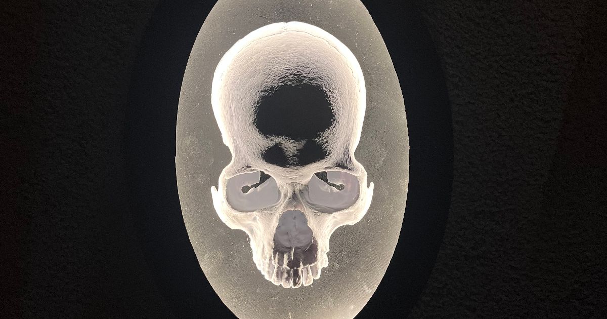 Skull shadow box by NeffDesigns Printables Store