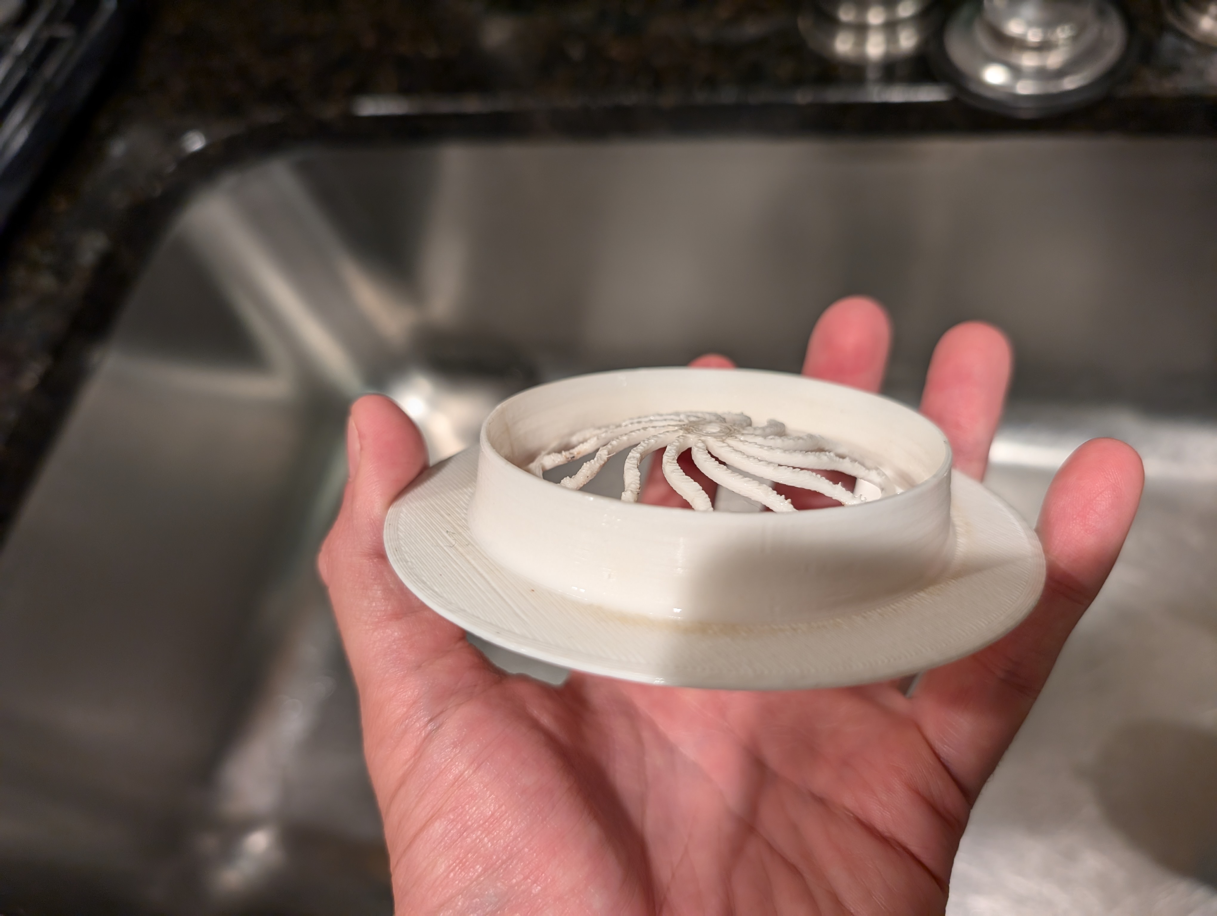 Kitchen Sink Drain Guard by stevekamerman Download free STL model